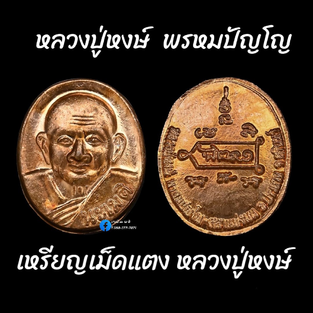 เหรียญเม็ดแตงหลวงปู่หงษ์