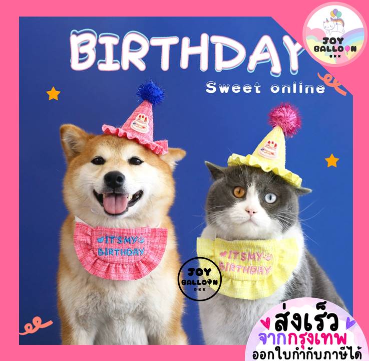 หมวกวันเกิดน้องแมว HBD พร้อบถ่ายรูปแมว หมา สัตว์เลี้ยง พร้อบถ่ายรูปวันเกิด Happy Birthday Party มี 2 สี (ส่งเร็วจากกุรงเทพ)