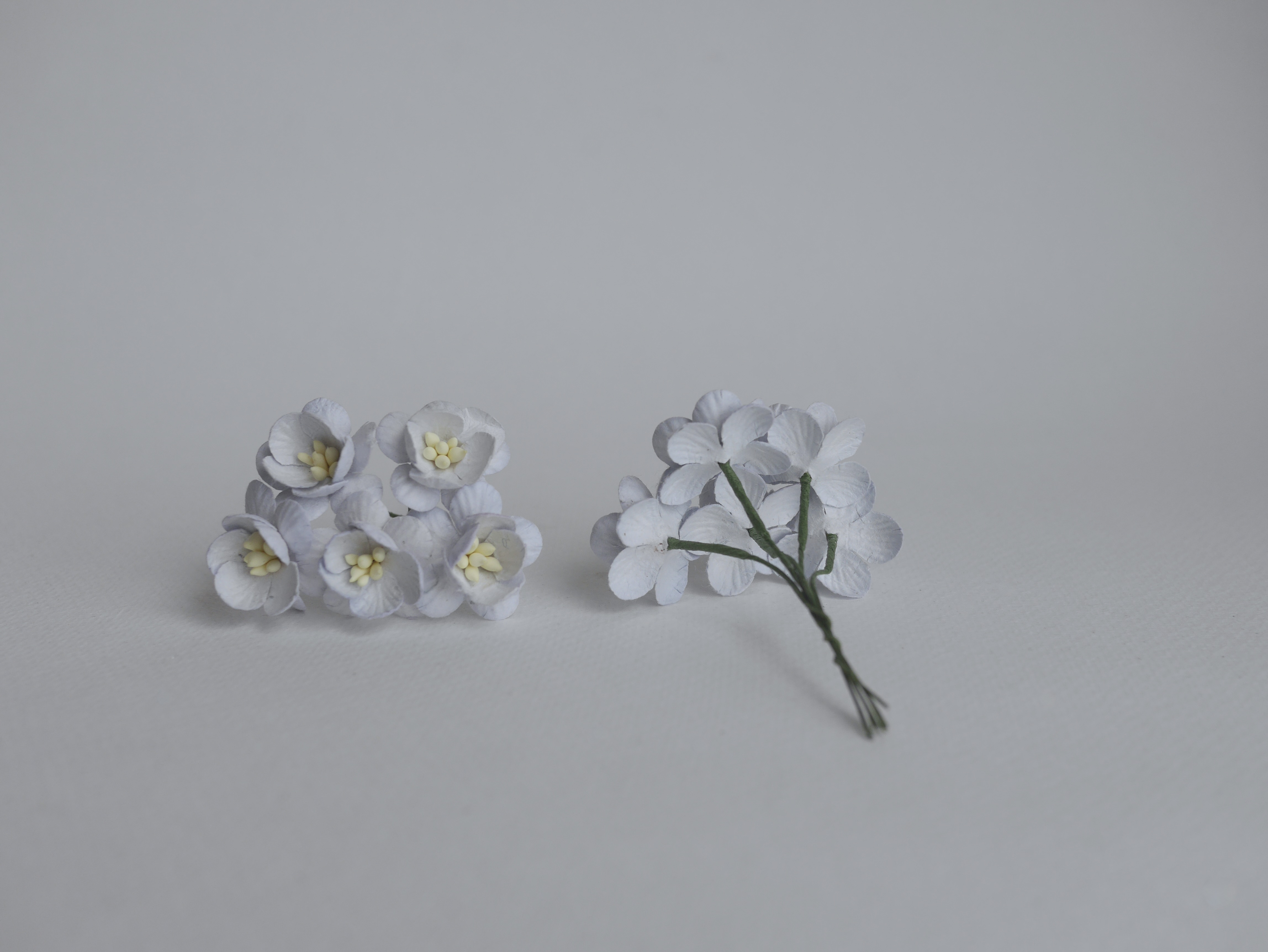 ดอกไม้กระดาษสา ดอกซากุระกระดาษ ขนาดเล็ก ดอกไม้กระดาษสาราคาส่ง ดอกไม้กระดาษสำหรับตกแต่งของชำร่วย งานแต่งงาน ทำช่อดอกไม้ติดอกเจ้าบ่าว ข้อมือดอกไม้เจ้าสาว ขนาด 2.5 cm. 50 ดอก สีเทาฟ้าตุ่น Paper flowers supplies: DIY wedding tools small Cherry blossom (Sakura