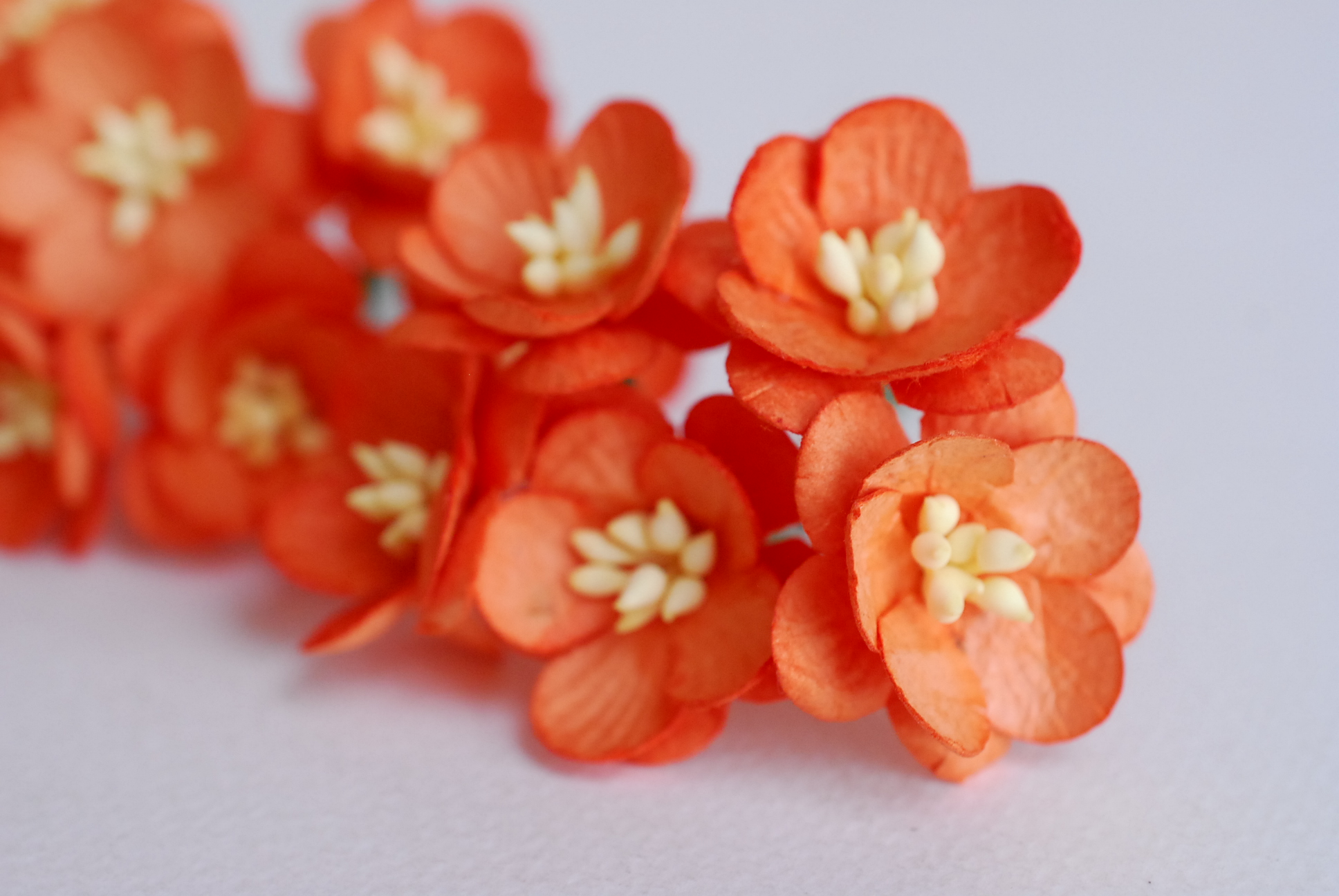 ดอกไม้กระดาษสา ดอกซากุระกระดาษสีส้ม ดอกไม้กระดาษสาราคาส่ง ดอกไม้กระดาษสำหรับตกแต่งของชำร่วย งานแต่งงาน ทำช่อดอกไม้ติดอกเจ้าบ่าว ข้อมือดอกไม้เจ้าสาว ขนาด2.5 cm. 50 ดอก Paper flowers supplies: DIY wedding tools Cherry blossom (Sakura) 50 pcs. size 2.5 cm.