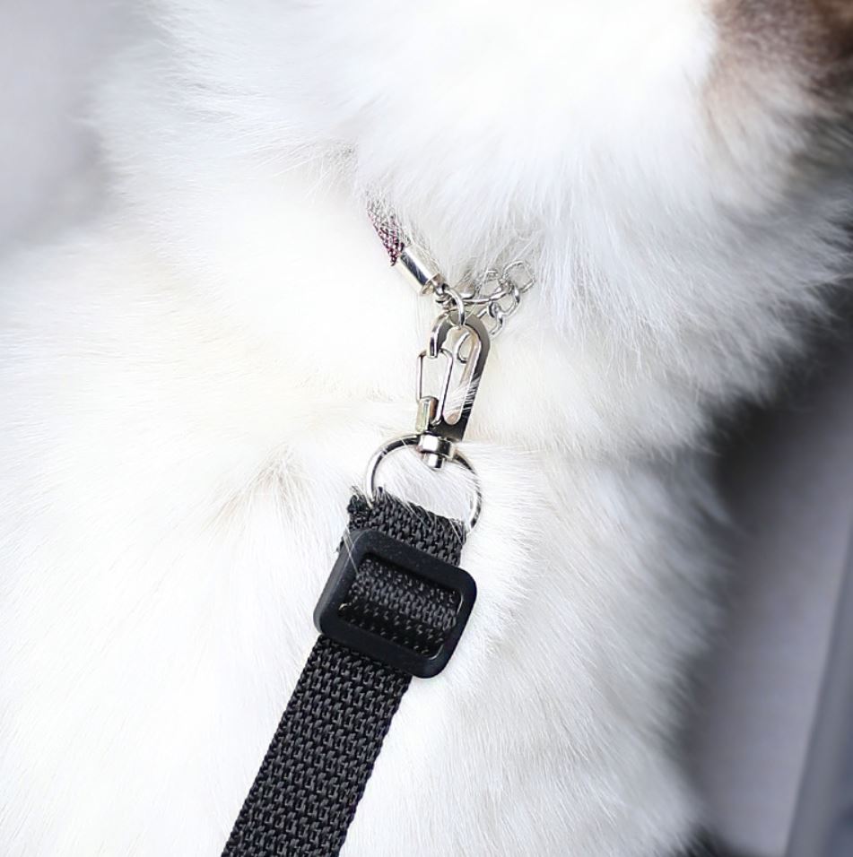 [1100] กระเป๋าสุนัข แมว ถือ สะพายข้าง ใส่แมวง่าย ระบายอากาศดี