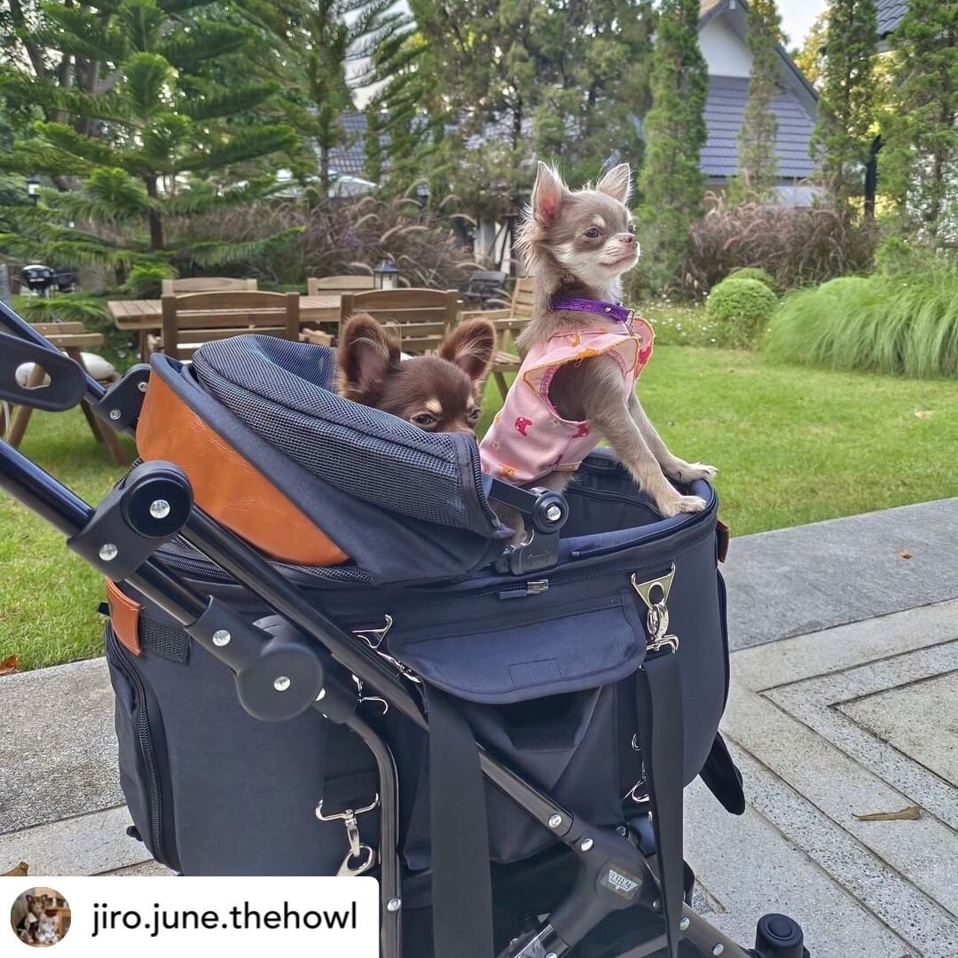 KEENZ AIRPETS รถเข็นสัตว์เลี้ยง 3in1 กระเป๋าใส่สัตว์เลี้ยง(พันธุ์เล็ก)