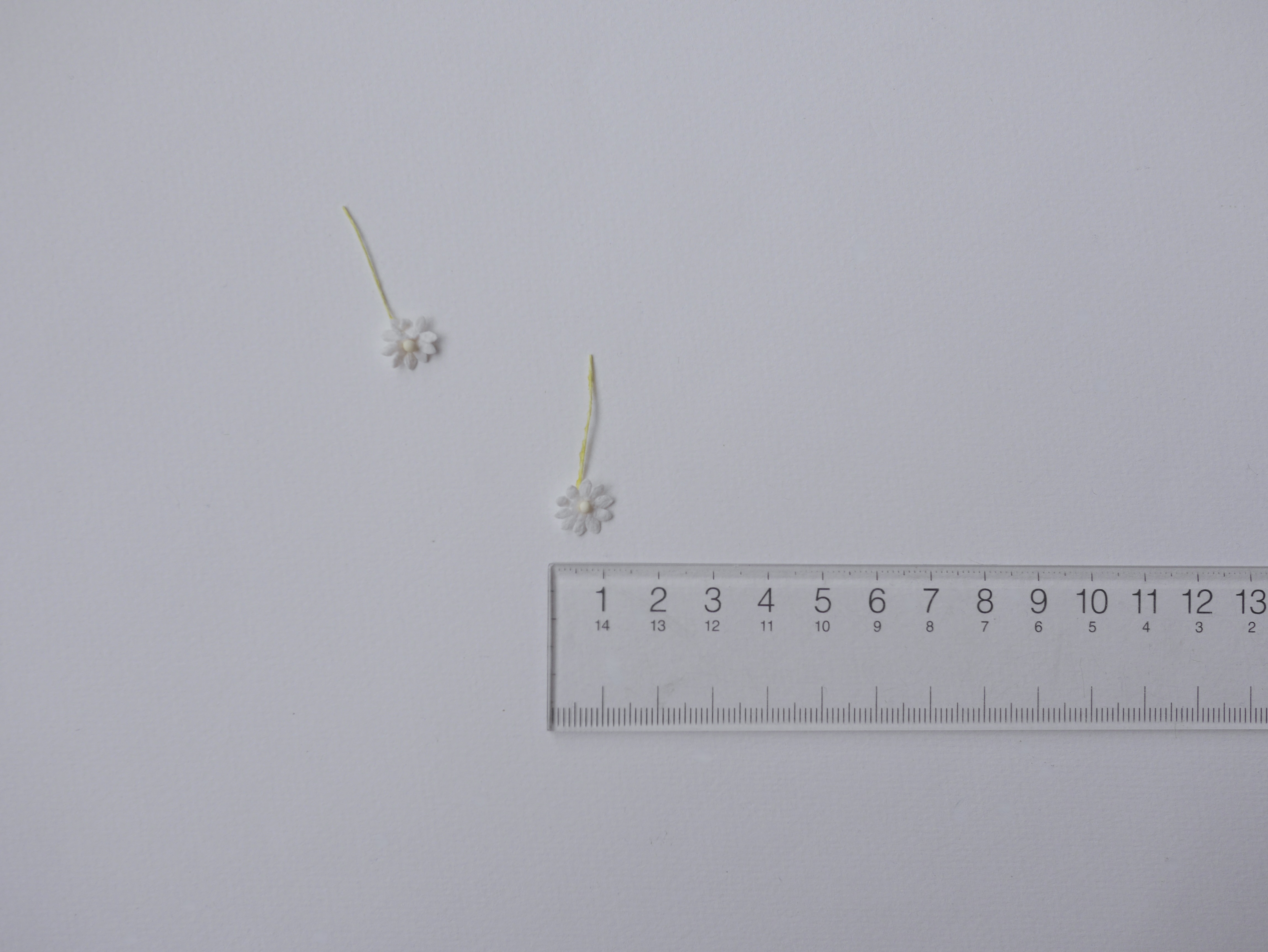 ดอกไม้กระดาษสา ดอกไม้กระดาษสาราคาส่ง ดอกไม้กระดาษสำหรับตกแต่ง งานแต่งงาน หรือติดของชำร่วย ดอกเดซี่ 100 ดอก ขนาด 0.8 cm. สีขาว ก้านเส้นด้าย Small Paper Flower with stem, 100 pcs., size 0.8 cm., daisy flowers 1 layer, white color. yarn stem