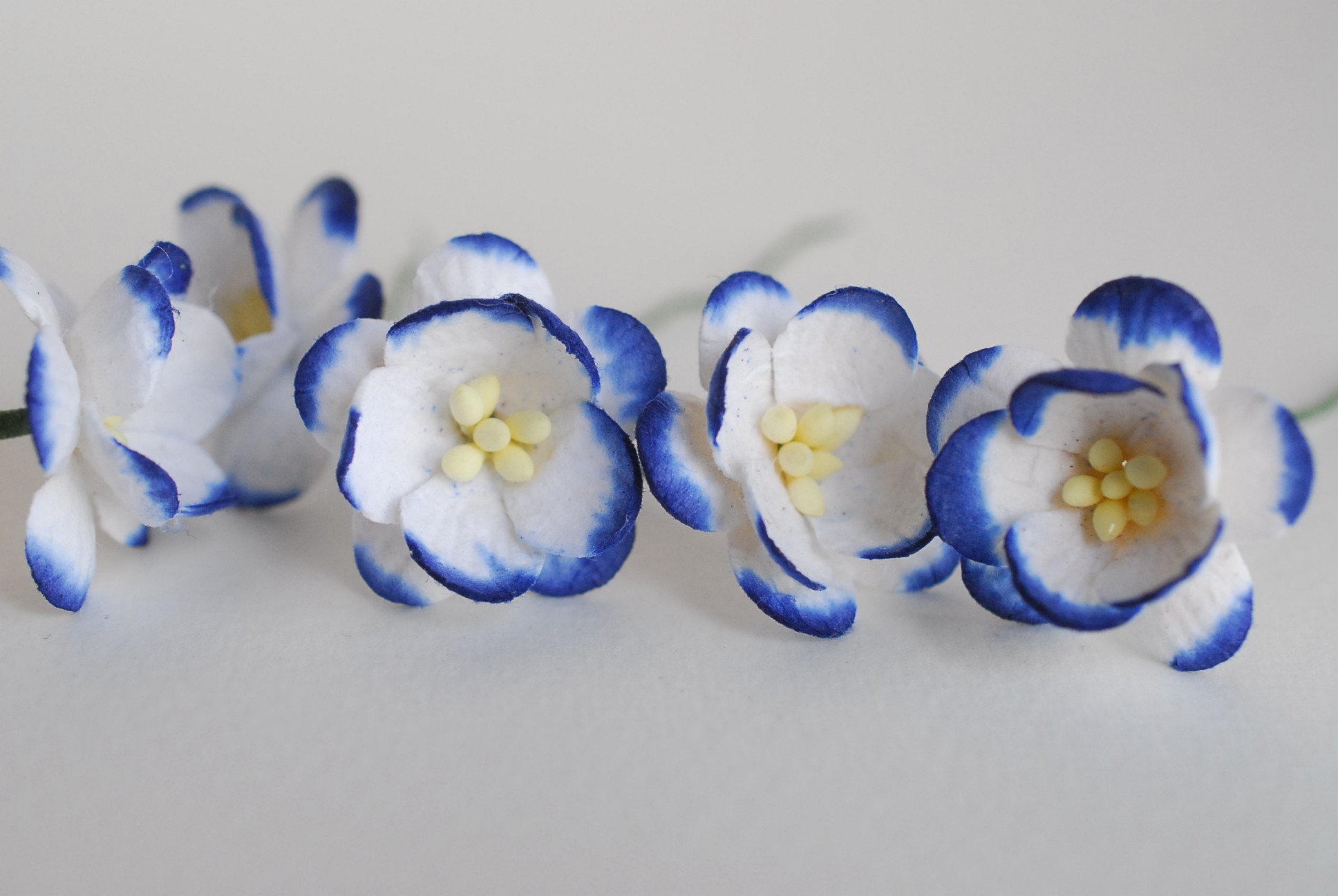 ดอกไม้กระดาษสา ดอกซากุระกระดาษ ดอกไม้กระดาษสาราคาส่ง ดอกไม้กระดาษสำหรับตกแต่งของชำร่วย งานแต่งงาน ทำช่อดอกไม้ติดอกเจ้าบ่าว ข้อมือดอกไม้เจ้าสาว ขนาด2.5 cm. 50 ดอก สีน้ำเงินกรมท่าปัดขาว Paper flowers supplies: DIY wedding tools Cherry blossom (Sakura) 50 pc