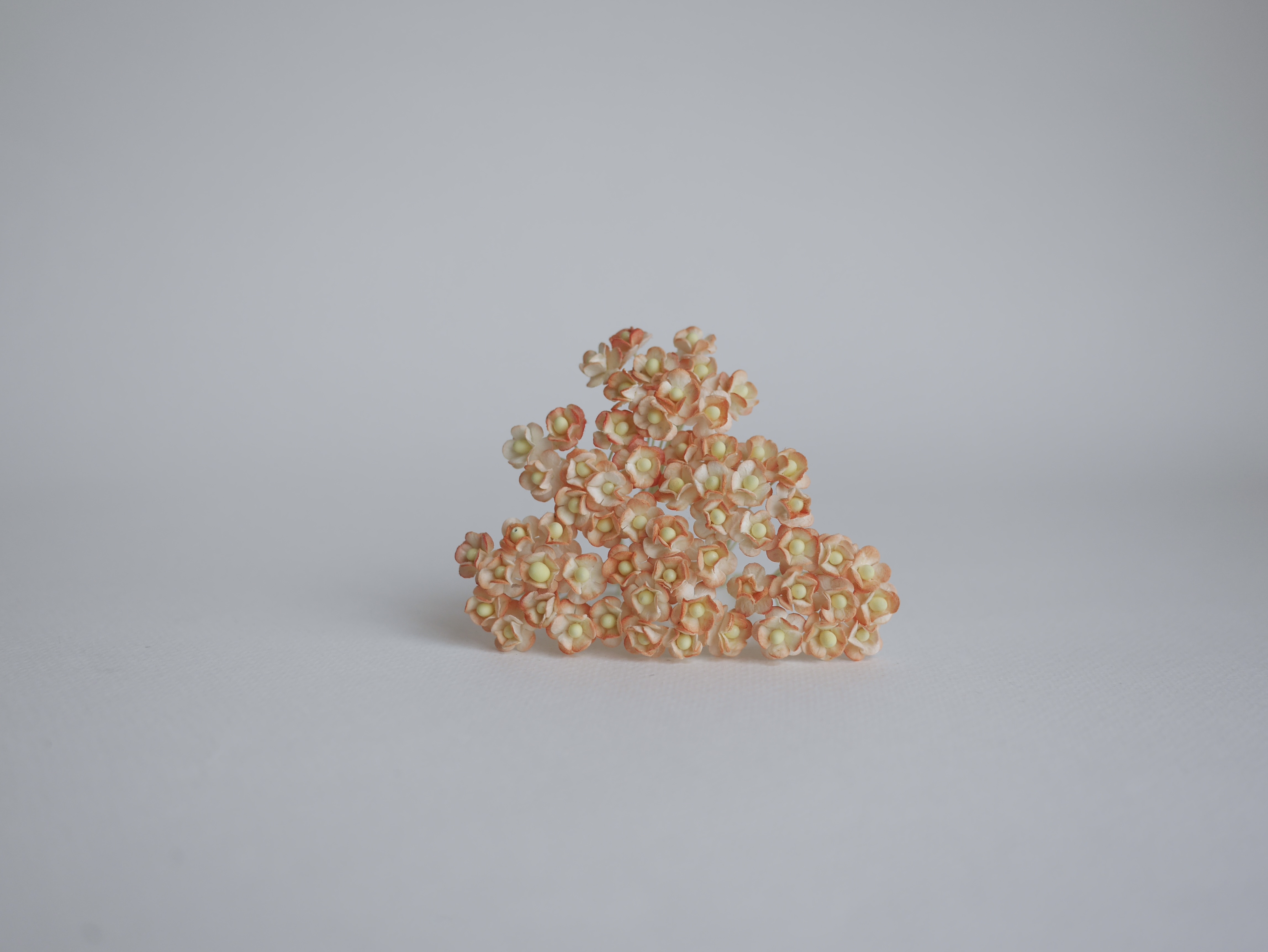 ดอกไม้กระดาษสา ดอกไม้กระดาษสาราคาส่ง ดอกไม้กระดาษสำหรับตกแต่ง งานแต่งงาน หรือติดของชำร่วย ดอก creeping lady 100 ดอก ขนาด 0.8 cm. สีส้มปัดสีขาว Small Paper Flower with stem, 100 pcs., size 0.8 cm., creeping flowers 2 layers, orange brush color.