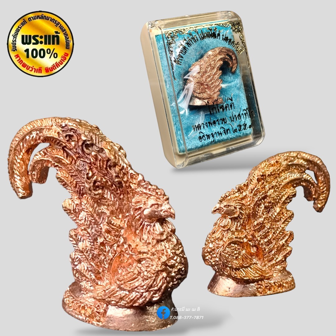 พญาไก่ โชคดี หลวงพ่อรวย ปาสาทิโก วัดตะโก