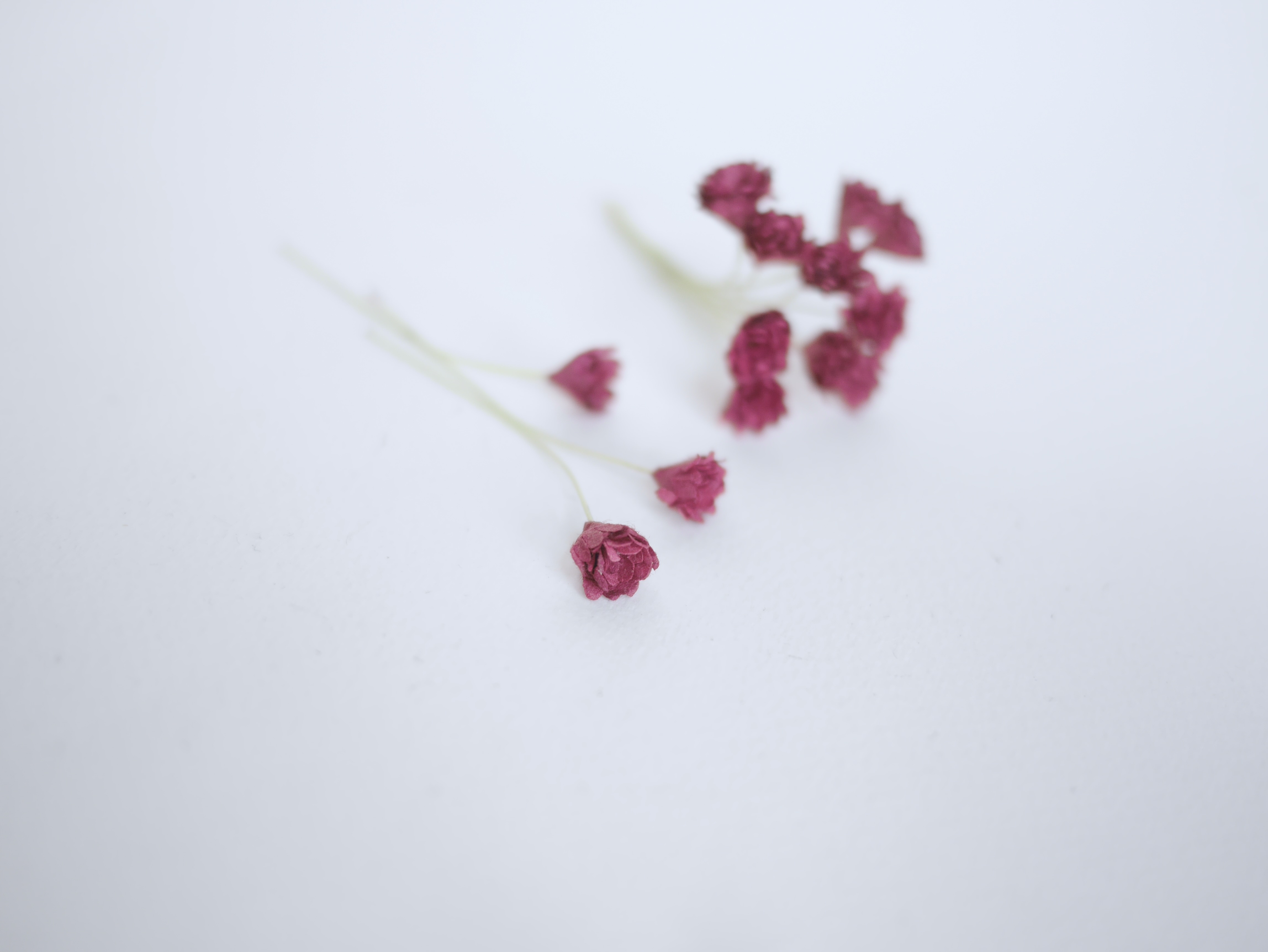 ดอกไม้ประดิษฐ์, ดอกไม้กระดาษสา, ดอก gypsophila, ดอกยิปโซ งานประดิษฐ์ตกแต่งของชำร่วย, ดอกไม้ทำพานพุ่ม, พานรับไหว้, ขนาด 1 cm. สีแดงเลือดหมู burgundy color