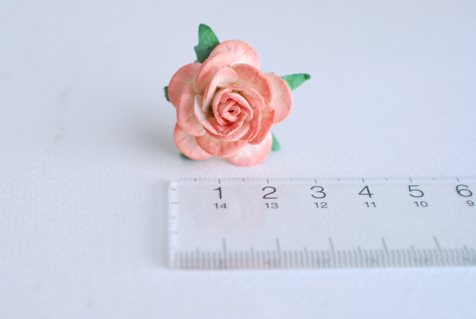 ดอกไม้กระดาษสา ดอกไม้กุหลาบกระดาษ ราคาส่ง, ดอกกุหลาบจิ๋ว ดอกกุหลาบกระดาษสา ดอกไม้ประดิษฐ์ สำหรับตกแต่ง หรืองานแต่งงาน สีpeachปัดขาวขนาด 2.5 cm. จำนวน 50 ดอก