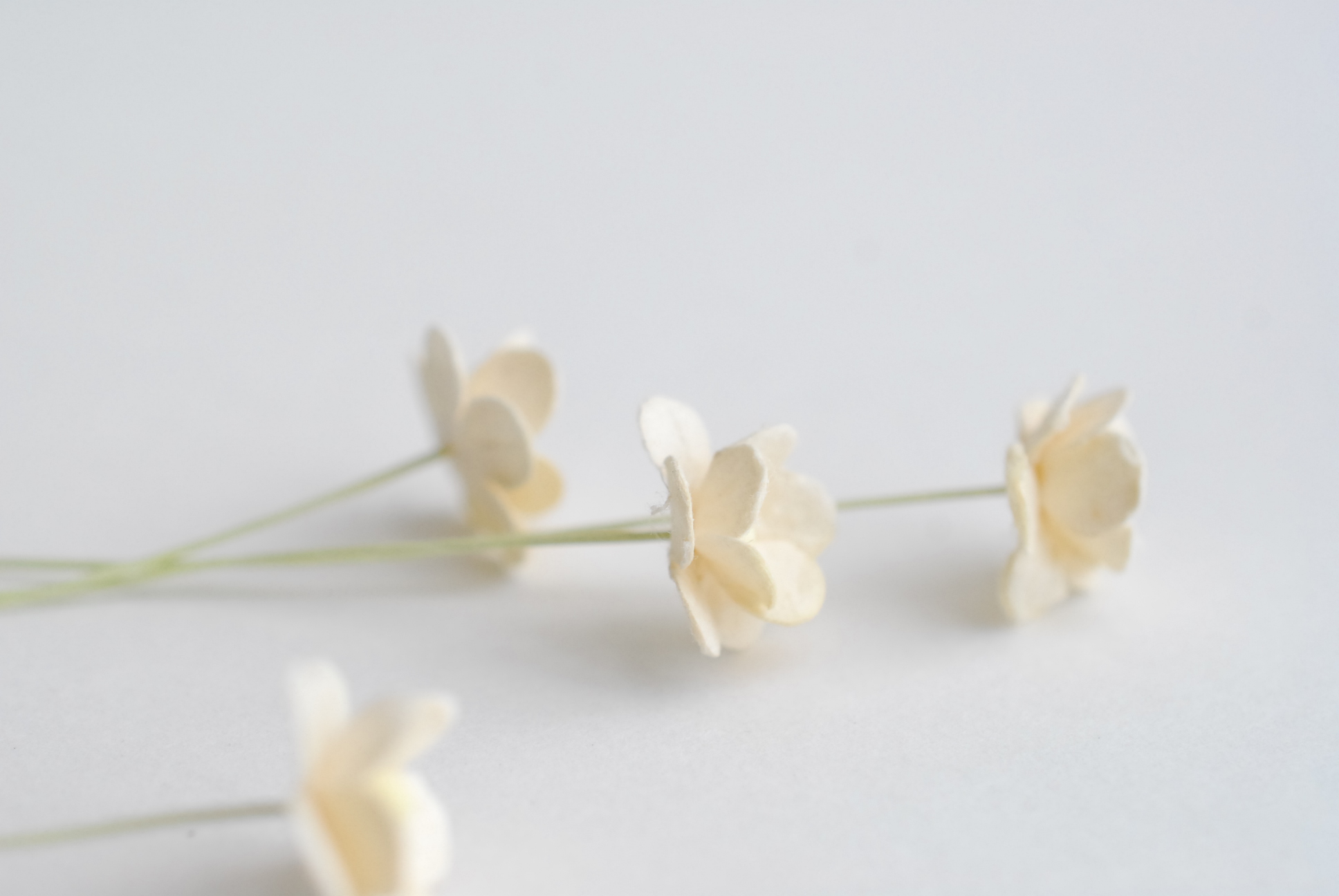 ดอกไม้กระดาษสา ราคาส่ง, ดอกไฮเดรนเยียกระดาษสา ดอกไม้ประดิษฐ์ ตกแต่งงานแต่งงาน ประดิษฐ์ข้อมือ เพื่อนเจ้าสาว ขนาด 1.5 cm., สำหรับของชำร่วย, งานแต่งงาน, ดอกไม้ทำข้อมือเจ้าสาว สีงาช้าง จำนวน 100 ดอก Paper flower,100 Pieces mulberry hydenyia, ivory color