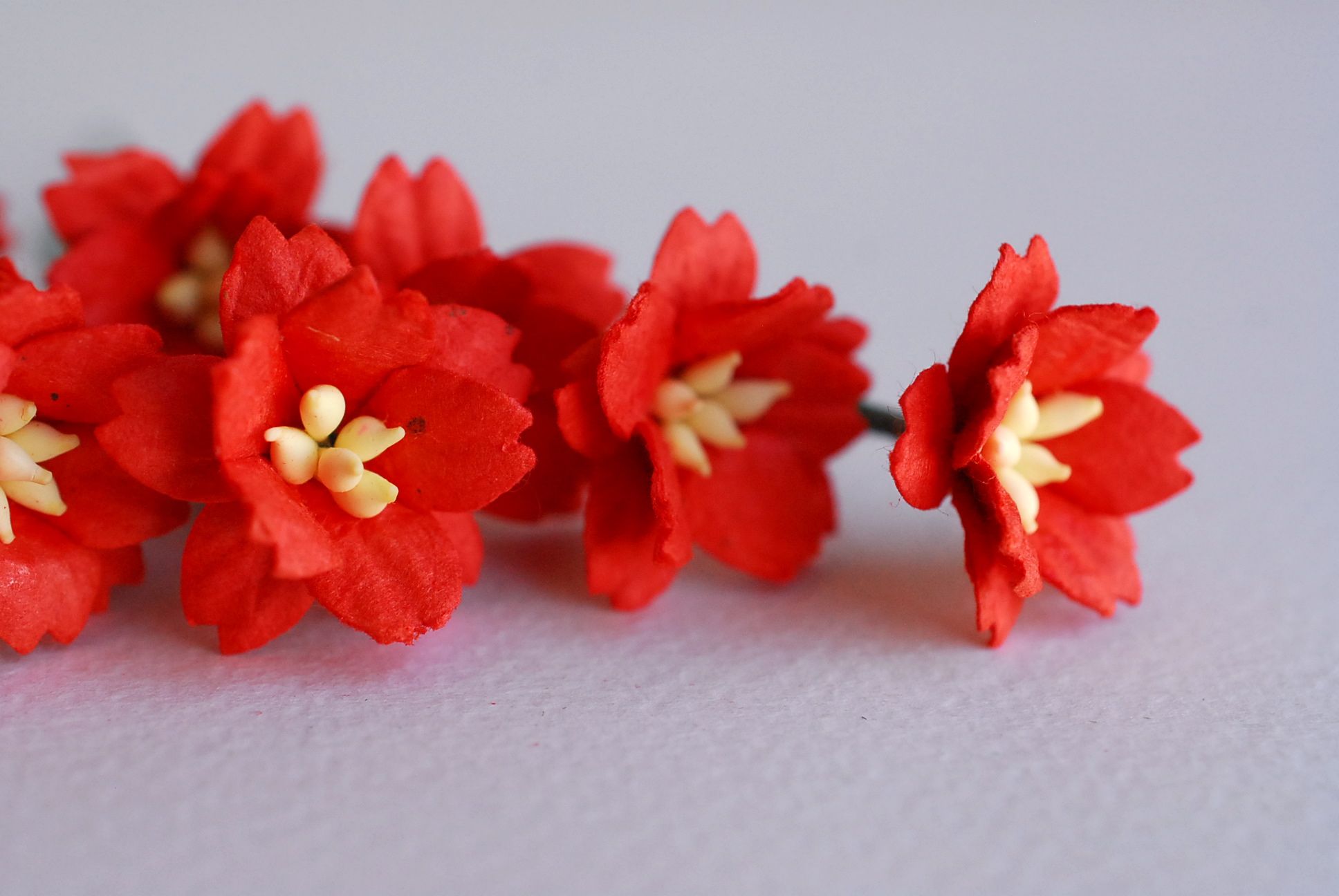 ดอกไม้กระดาษสา ดอกซากุระกระดาษ ขนาดเล็ก ดอกไม้กระดาษสาราคาส่ง ดอกไม้กระดาษสำหรับตกแต่งของชำร่วย งานแต่งงาน ทำช่อดอกไม้ติดอกเจ้าบ่าว ข้อมือดอกไม้เจ้าสาว ขนาด2.0 cm. 50 ดอก สีแดง Paper flowers supplies: DIY wedding tools small Cherry blossom (Sakura) red co