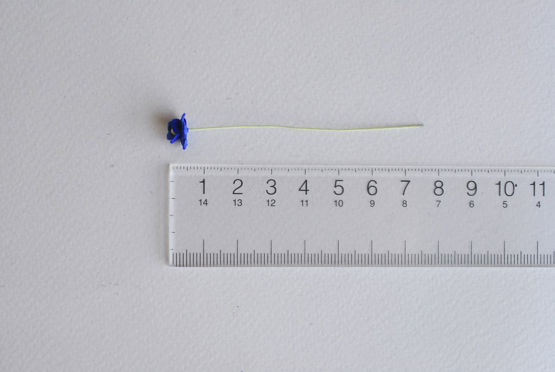 ดอกไม้กระดาษสา ดอกไม้กระดาษสาราคาส่ง ดอกไม้กระดาษสำหรับตกแต่ง งานแต่งงาน หรือติดของชำร่วย ดอก creeping lady 100 ดอก ขนาด 0.8 cm. สีน้ำเงินน้ำทะเล Small Paper Flower with stem, 100 pcs., size 0.8 cm., creeping flowers 2 layers, ocean blue color