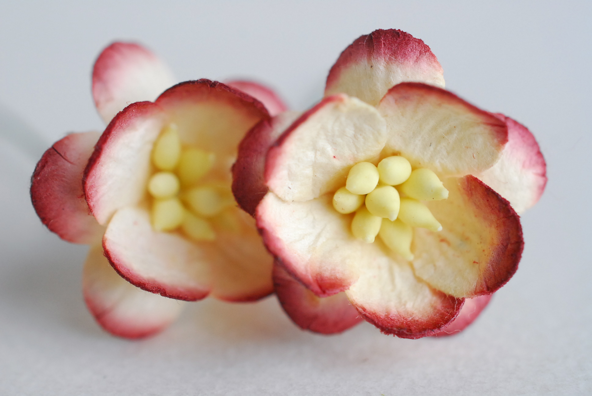 ดอกไม้กระดาษสา ดอกไม้กระดาษสาราคาส่ง ดอกไม้กระดาษสำหรับตกแต่งของชำร่วย งานแต่งงาน ทำช่อดอกไม้ติดอกเจ้าบ่าว ข้อมือดอกไม้เจ้าสาว ขนาด2.5 cm. 50 ดอก Paper flowers supplies: DIY wedding tools Cherry blossom (Sakura) 50 pcs. size 2.5 cm. Ivory brush dark red c