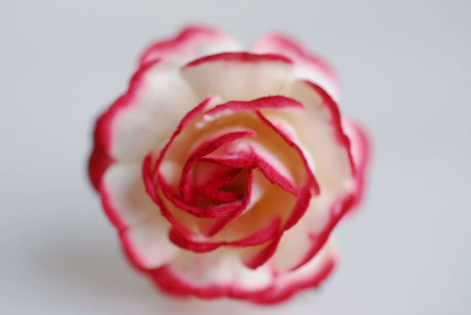 ดอกไม้กุหลาบกระดาษ ดอกไม้กระดาษสา, ของชำร่วย,ดอกกุหลาบ, ดอกไม้ประดิษฐ์สำหรับงานแต่งงาน จำนวน 25 ดอก, สีแดงเข้มปัด Paper Flower, 25 pieces roses paper size 3.5 cm., dark red brush white color.