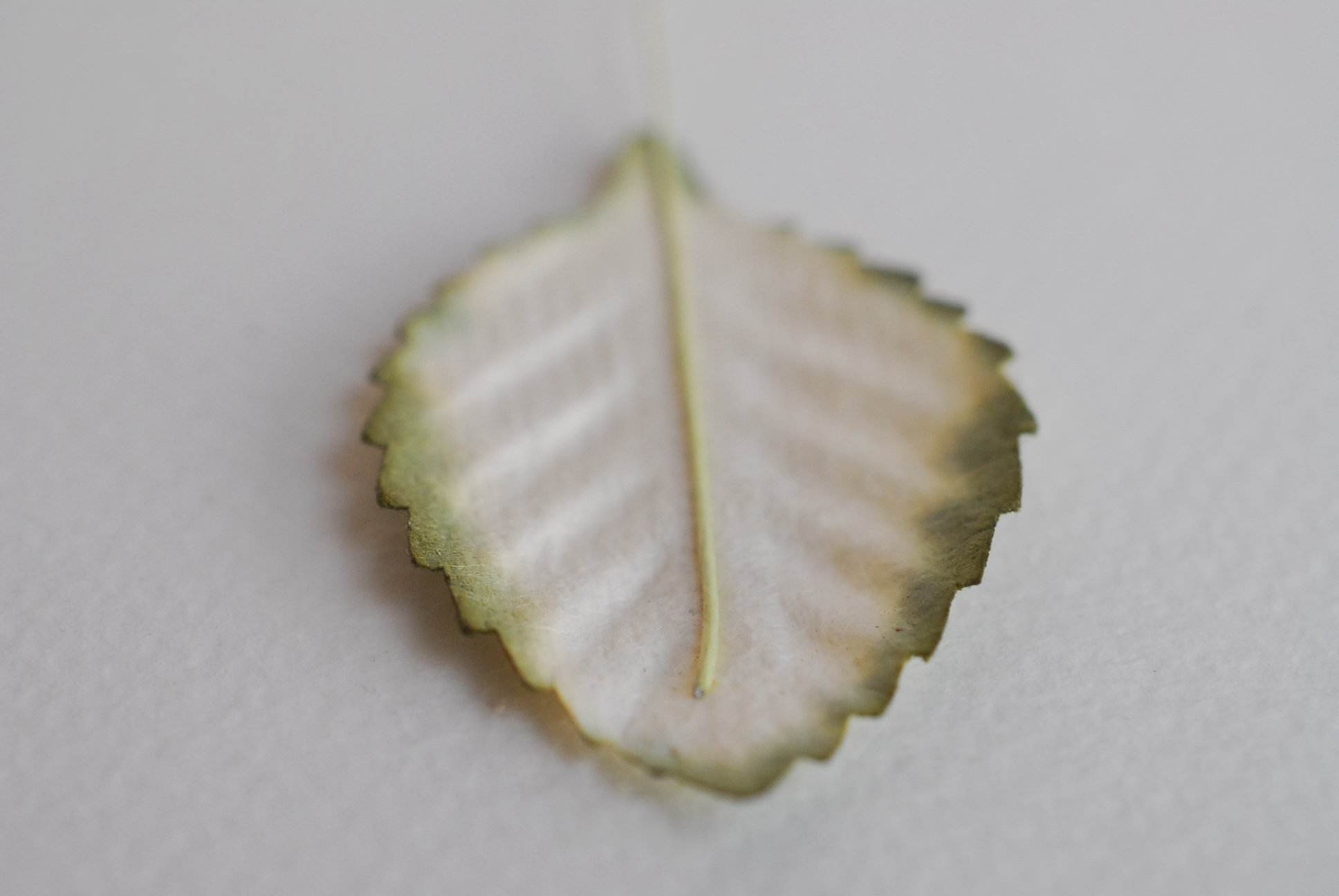 ใบไม้กระดาษ ใบไม้กระดาษสา ราคาส่ง,ใบไม่้กุหลาบกระดาษ สำหรับดอกกุหลาบกระดาษสา ใบไม้ประดิษฐ์ สำหรับตกแต่ง หรืองานแต่งงาน สีขาวปัดเขียวแก่ ขนาด 4.5x2.5 cm. จำนวน 50 ใบ