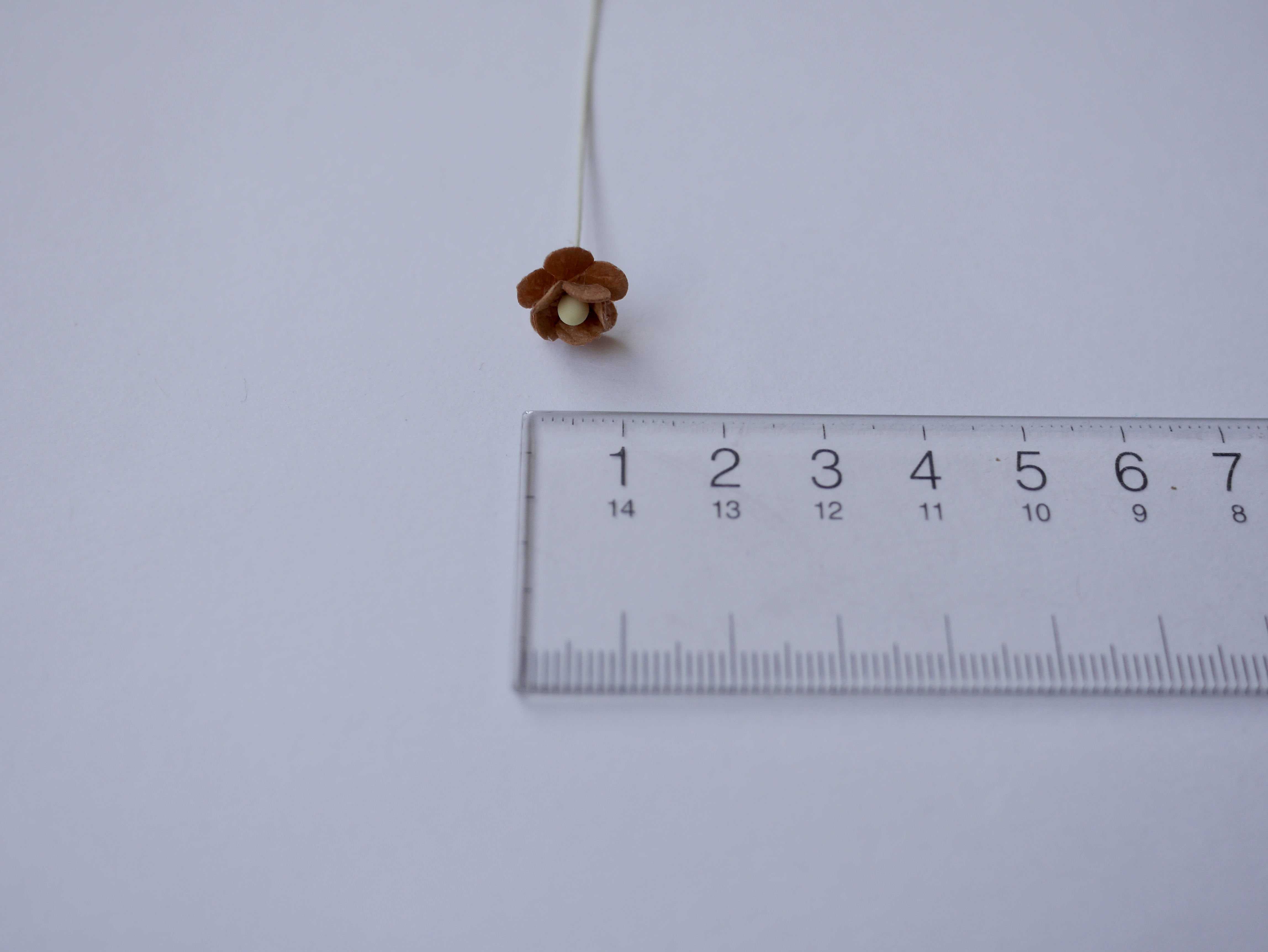 ดอกไม้กระดาษสา ดอกไม้กระดาษสาราคาส่ง ดอกไม้กระดาษสำหรับตกแต่ง งานแต่งงาน หรือติดของชำร่วย ดอก creeping lady 100 ดอก ขนาด 0.8 cm. สีน้ำตาลเข้ม Small Paper Flower with stem, 100 pcs., size 0.8 cm., creeping flowers 2 layers, medium brown color.