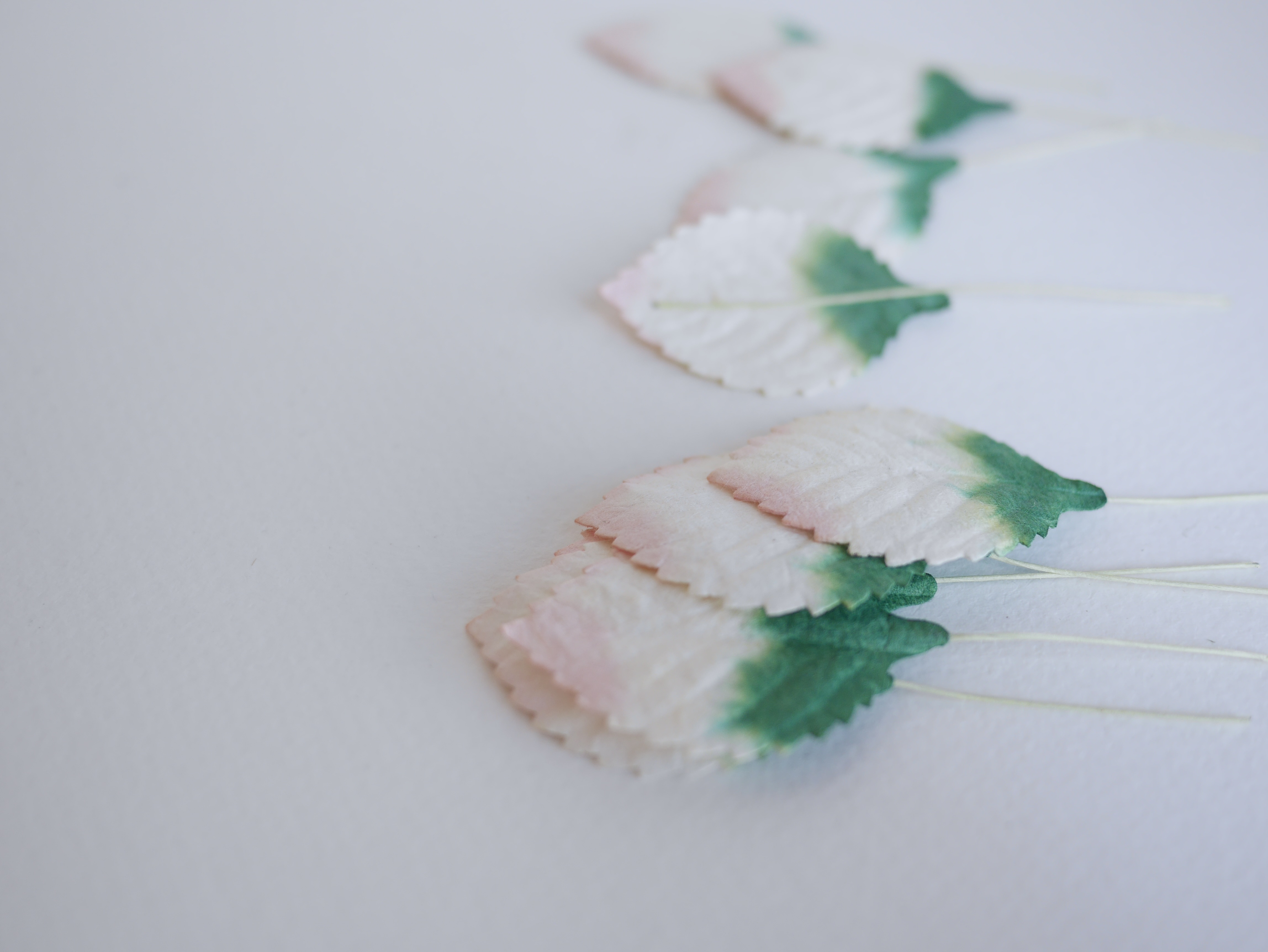 ใบไม้กระดาษ ใบไม้กระดาษสา ราคาส่ง,ใบไม่้กุหลาบกระดาษ สำหรับดอกกุหลาบกระดาษสา ใบไม้ประดิษฐ์ สำหรับตกแต่ง หรืองานแต่งงาน สีขาวปัดเขียวแก่ ขนาด 4.5x2.5 cm. จำนวน 50 ใบ สำเนา