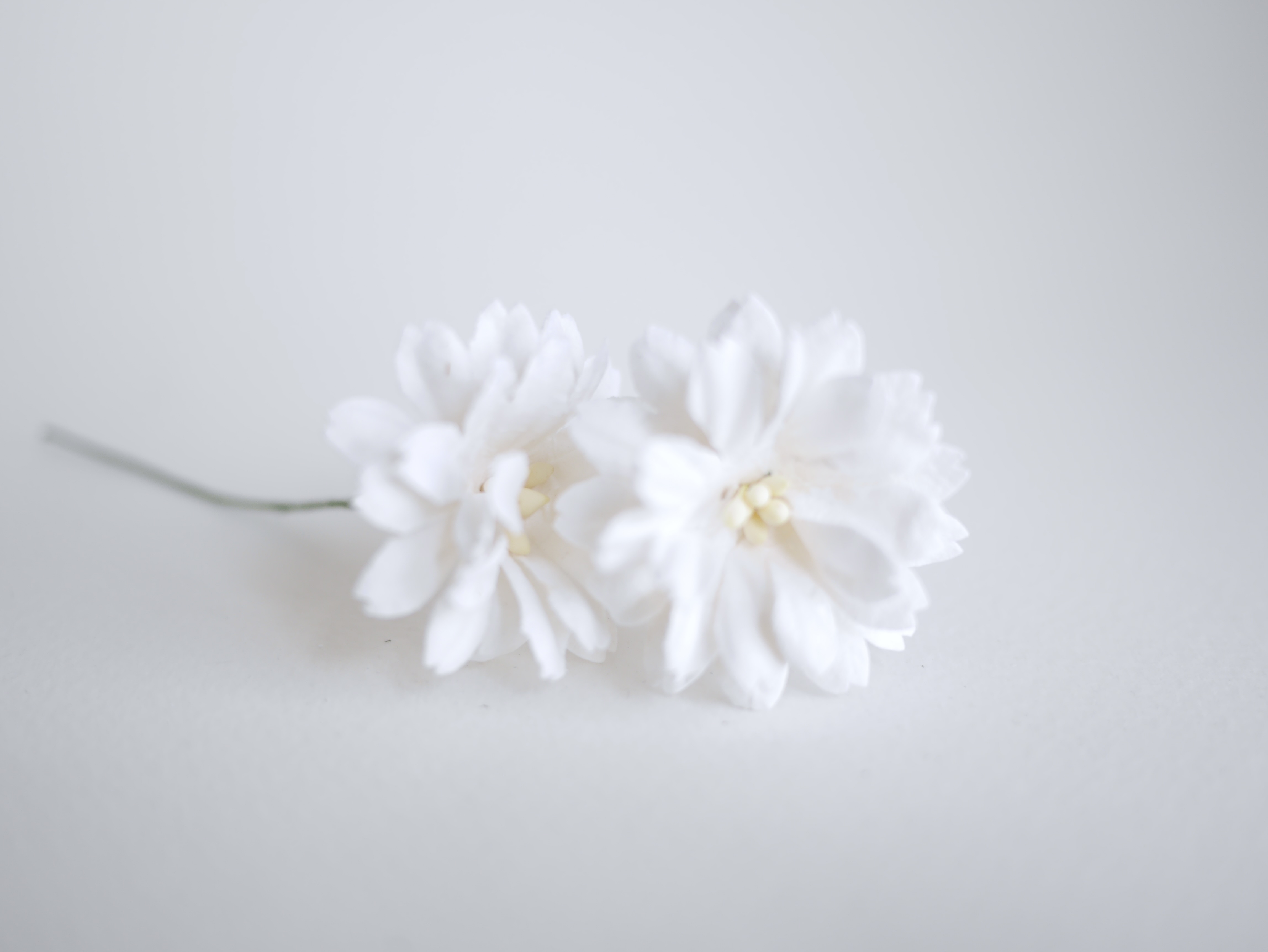 ดอกไม้กระดาษสา ดอกไม้ประดิษฐ์จากกระดาษสา ดอกเดซี่ ดอกไม้กระดาษสาขายส่ง ดอกไม้ประดิษฐ์ ดอกไม้ทำข้อมือเพื่อนเจ้าสาว ดอก daisy ขนาด 3.5 cm. จำนวน 25 ดอก สีขาว Paper Flower, 25 Daisy Flowers, ivory color, size 4.5 cm., white pollen.