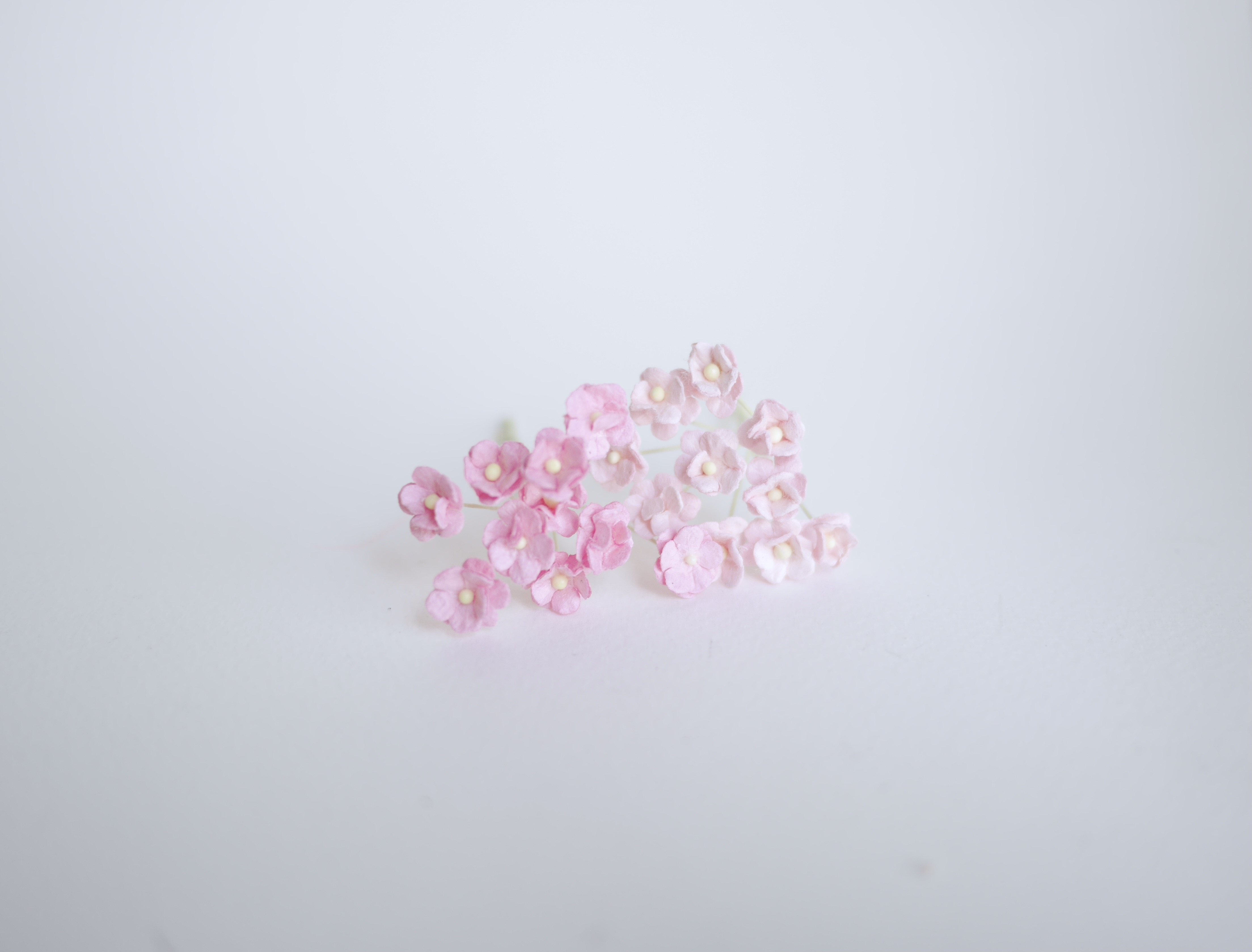 ดอกไม้กระดาษสา ดอกไม้กระดาษสาราคาส่ง ดอกไม้กระดาษสำหรับตกแต่ง งานแต่งงาน หรือติดของชำร่วย ดอก creeping lady 100 ดอก ขนาด 0.8 cm. คละสีพาสเทล Small Paper Flower with stem, , 100 pcs., size 0.8 cm., creeping flowers 2 layers, pastel mixed rainbow color.