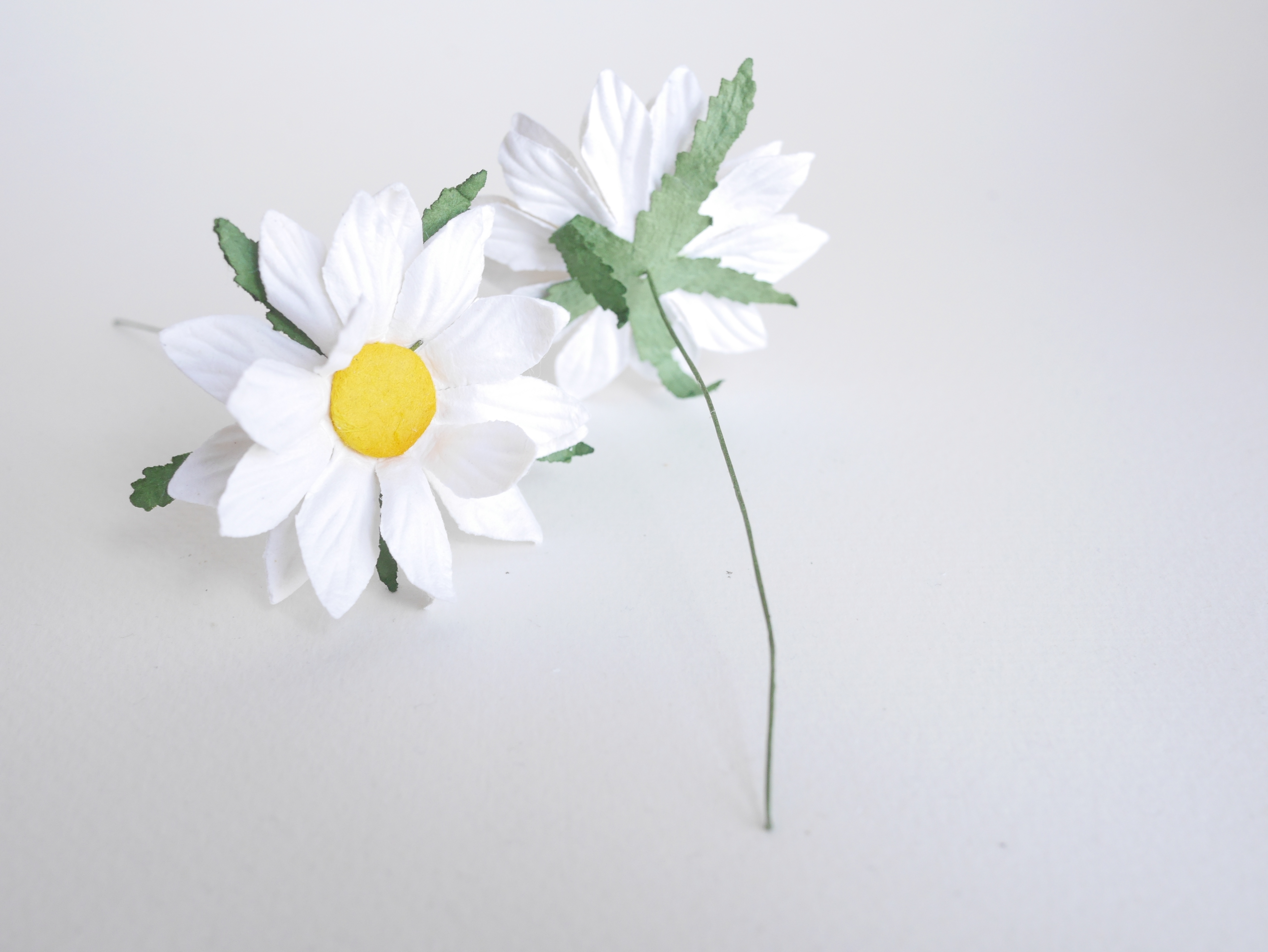 ดอกไม้กระดาษสา ดอกไม้ประดิษฐ์จากกระดาษสา ดอกเดซี่ เกสรสีทอง ดอกไม้กระดาษสาขายส่ง ดอกไม้ประดิษฐ์ ดอกไม้ทำข้อมือเพื่อนเจ้าสาว ดอก daisy ขนาด 5cm. จำนวน 25 ดอก สีขาว Paper Flower, 25 Daisy Flowers, white color, size 6 cm., yellow pollen.