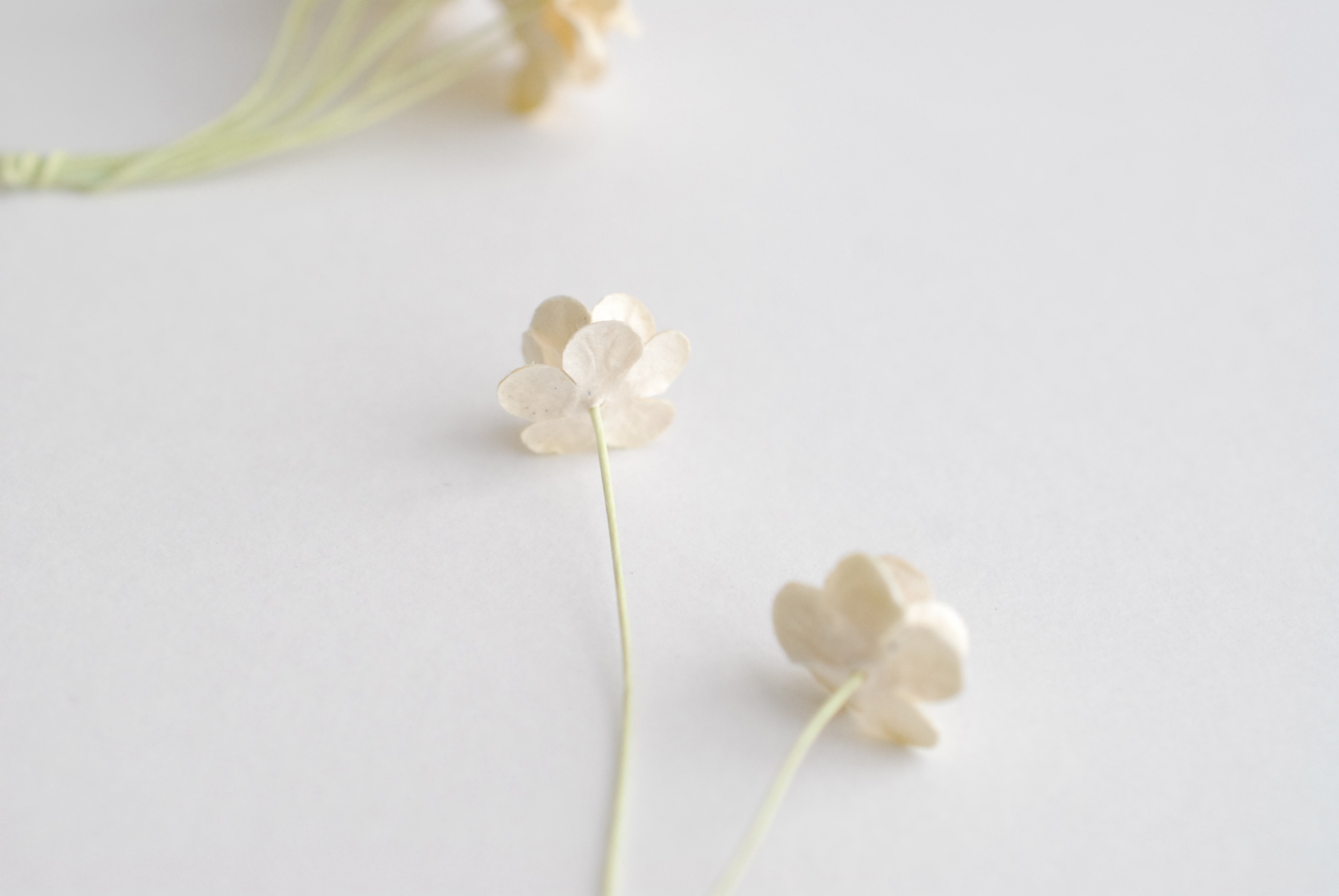 ดอกไม้กระดาษสา ราคาส่ง, ดอกไฮเดรนเยียกระดาษสา ดอกไม้ประดิษฐ์ ตกแต่งงานแต่งงาน ประดิษฐ์ข้อมือ เพื่อนเจ้าสาว ขนาด 1.5 cm., สำหรับของชำร่วย, งานแต่งงาน, ดอกไม้ทำข้อมือเจ้าสาว สีงาช้าง จำนวน 100 ดอก Paper flower,100 Pieces mulberry hydenyia, ivory color