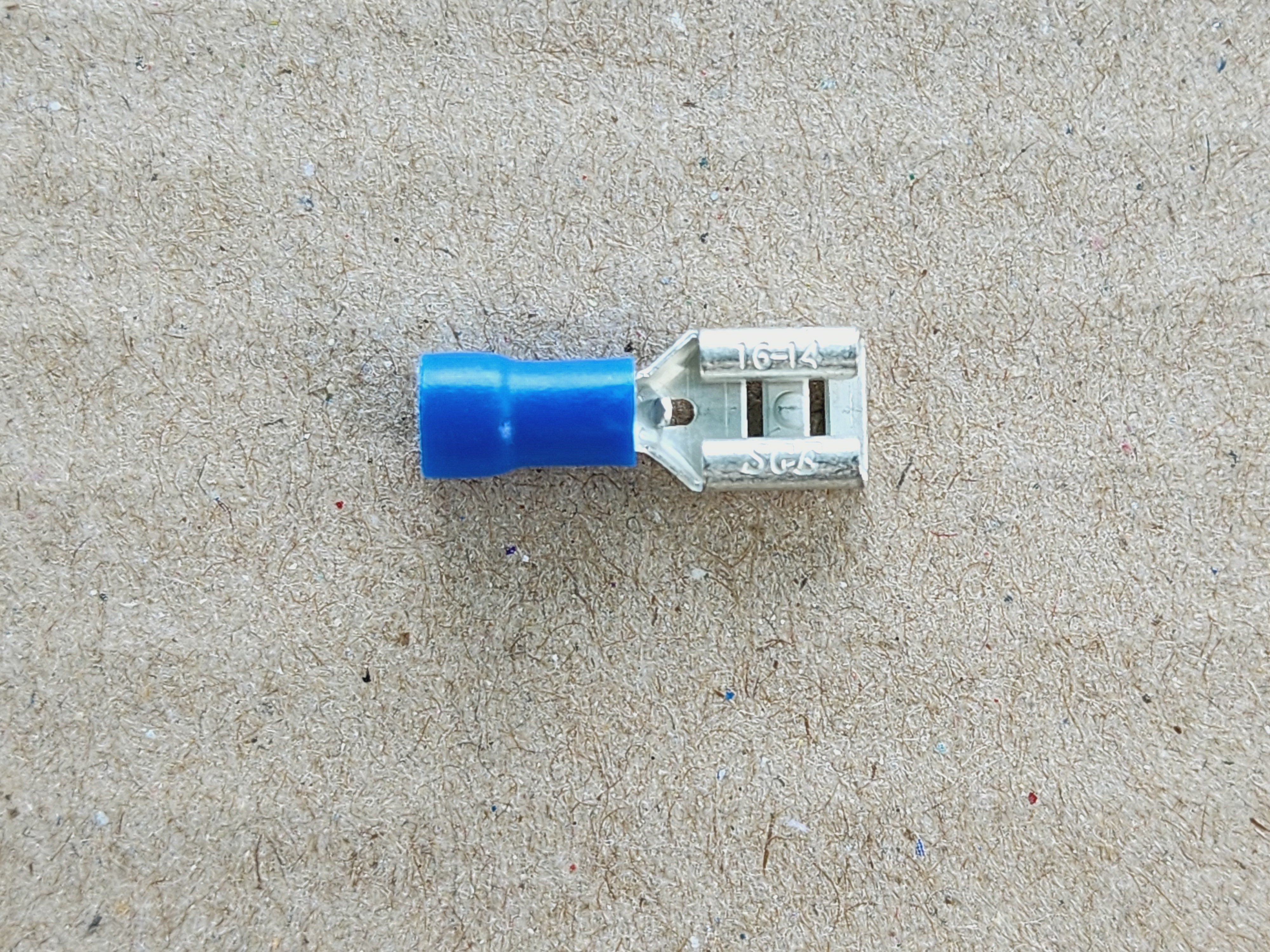 รูปหางปลาเสียบ ตัวเมีย