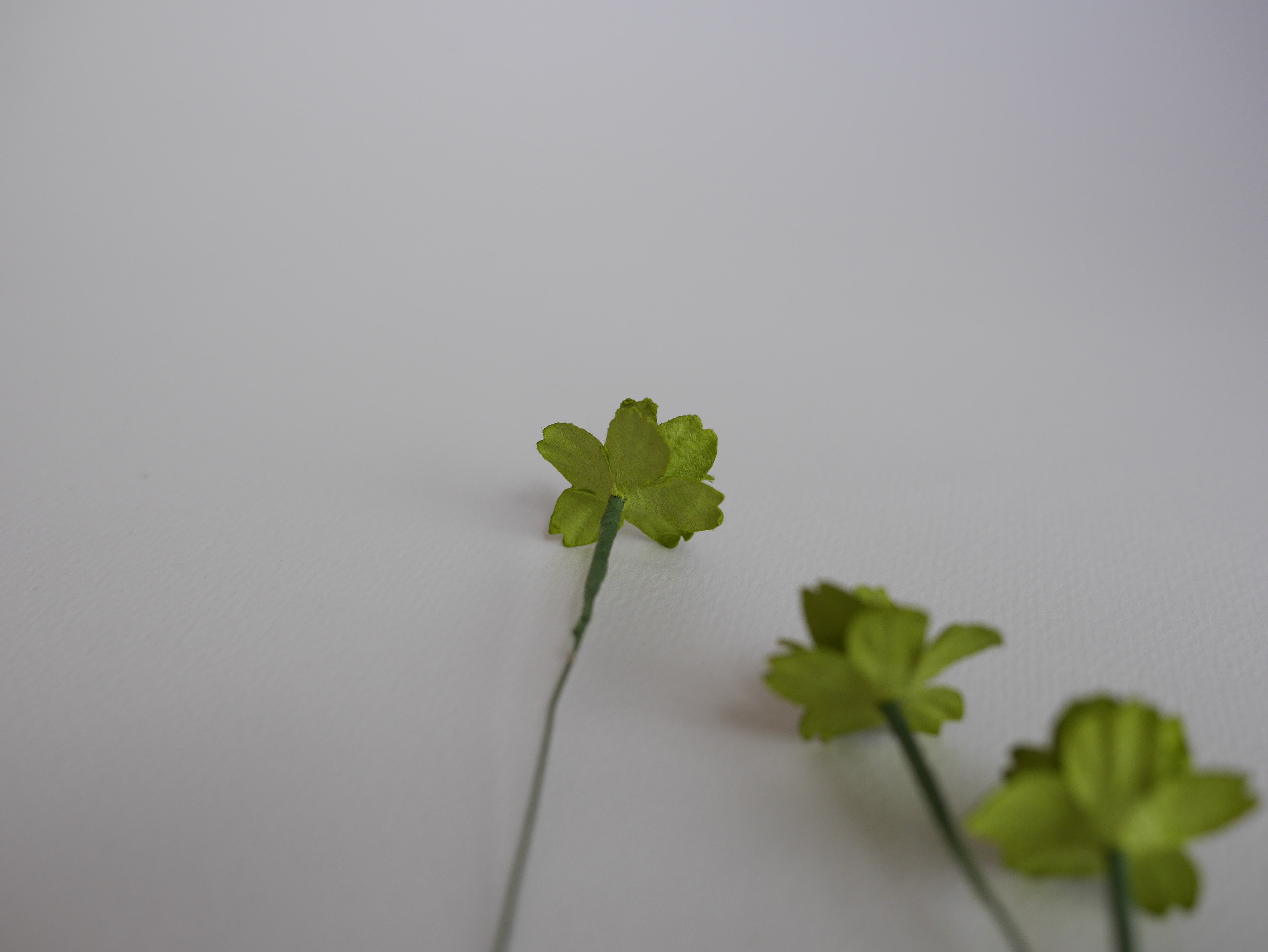 ดอกไม้กระดาษสา ดอกซากุระกระดาษ ดอกไม้กระดาษสาราคาส่ง ดอกไม้กระดาษสำหรับตกแต่งของชำร่วย งานแต่งงาน ทำช่อดอกไม้ติดอกเจ้าบ่าว ข้อมือดอกไม้เจ้าสาว ขนาด 2.00 cm. 50 ดอก สีเขียว Paper flowers supplies: DIY wedding tools Cherry blossom (Sakura) 50 pcs. size 2.0