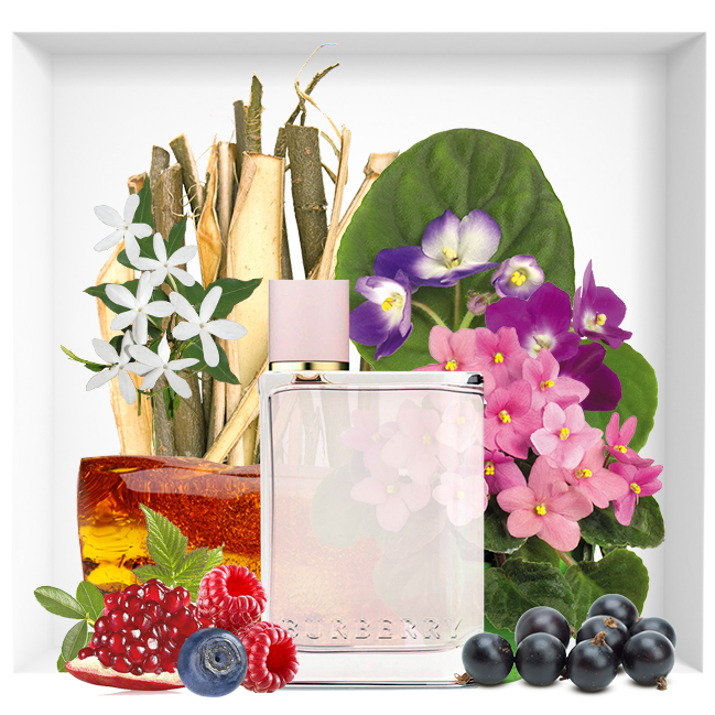 BURBERRY Her EDP 100 ml (Counter Box)