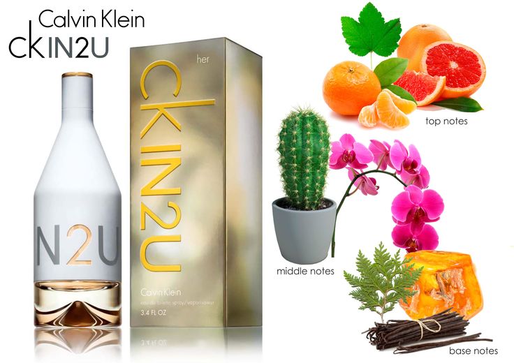 CK In2u for Her EDT 100 ml (Counter Box)
