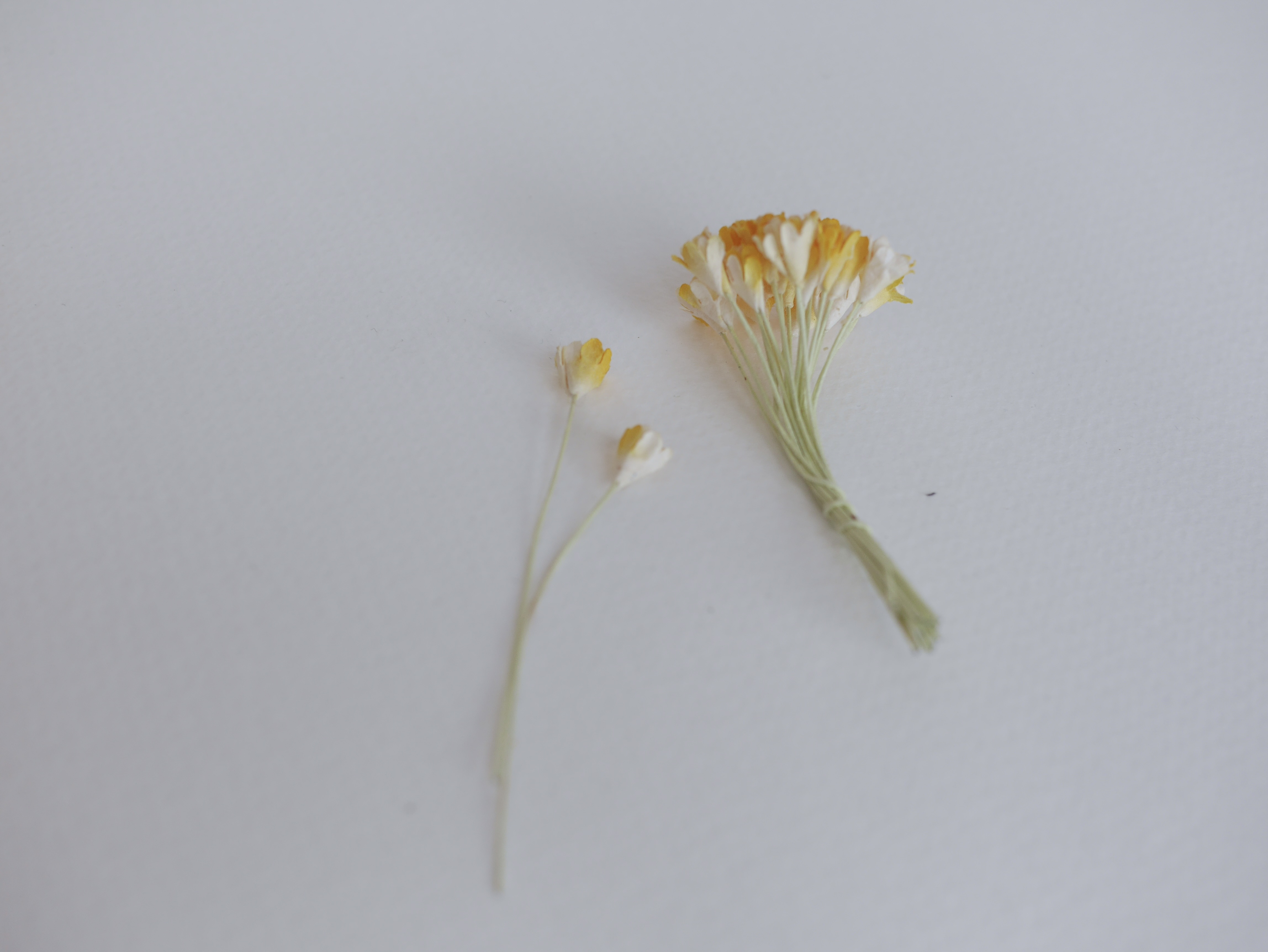 ดอกไม้ประดิษฐ์, ดอกไม้กระดาษสา, ดอก gypsophila, ดอกยิปโซ งานประดิษฐ์ตกแต่งของชำร่วย, ดอกไม้ทำพานพุ่ม, พานรับไหว้, ขนาด 1 cm. สีเหลืองปัดขาว