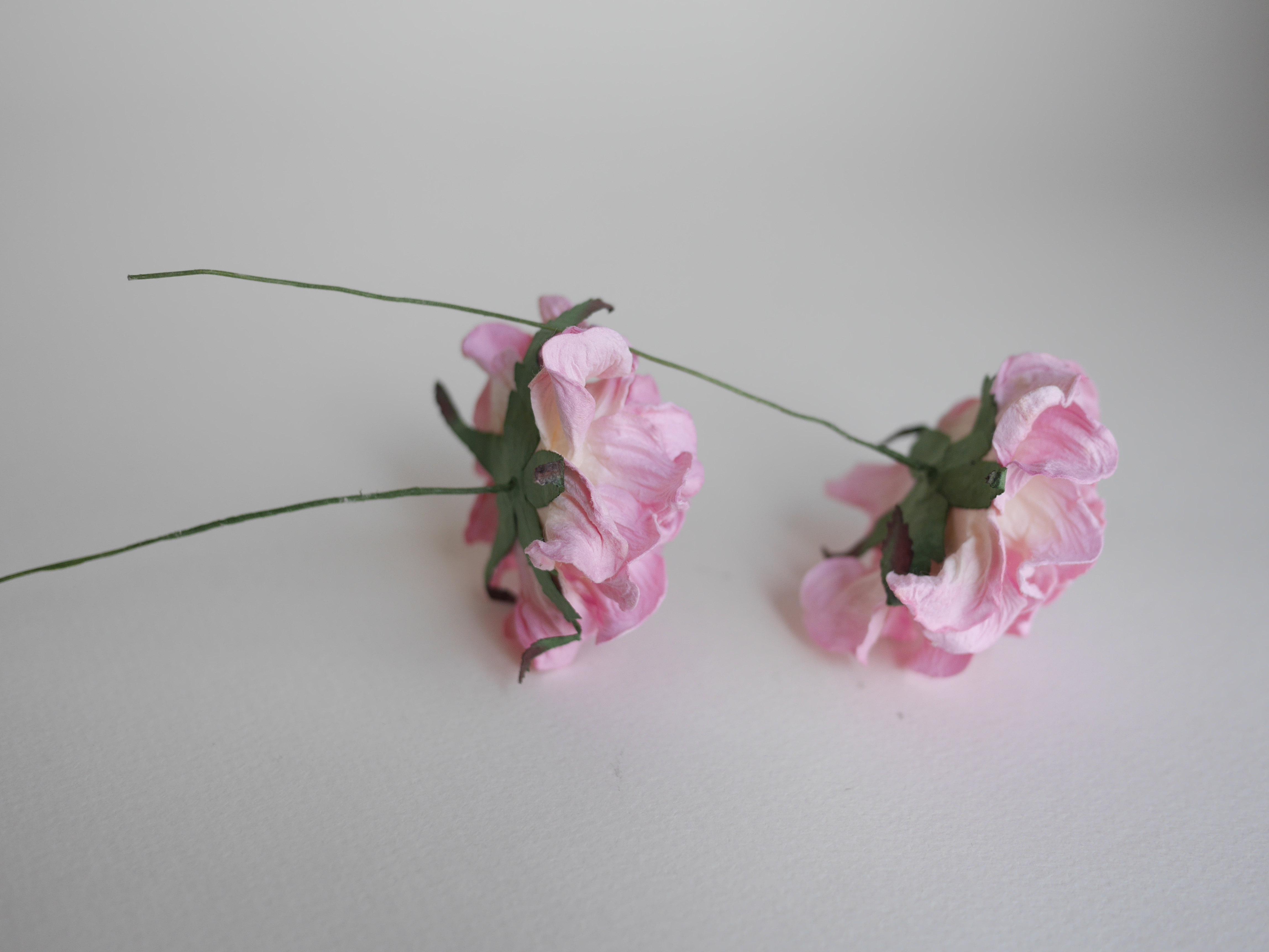 ดอกไม้ประดิษฐ์ ดอกไม้กระดาษสา ตกแต่งงานแต่งงาน งานแต่งงาน ดอกไม้ทำมงกุฎ ดอกกุหลาบขนาดใหญ่ 7 cm. 2 ดอก กลีบบิด สีชมพูปัดสีขาวข้างใน pink brush white color