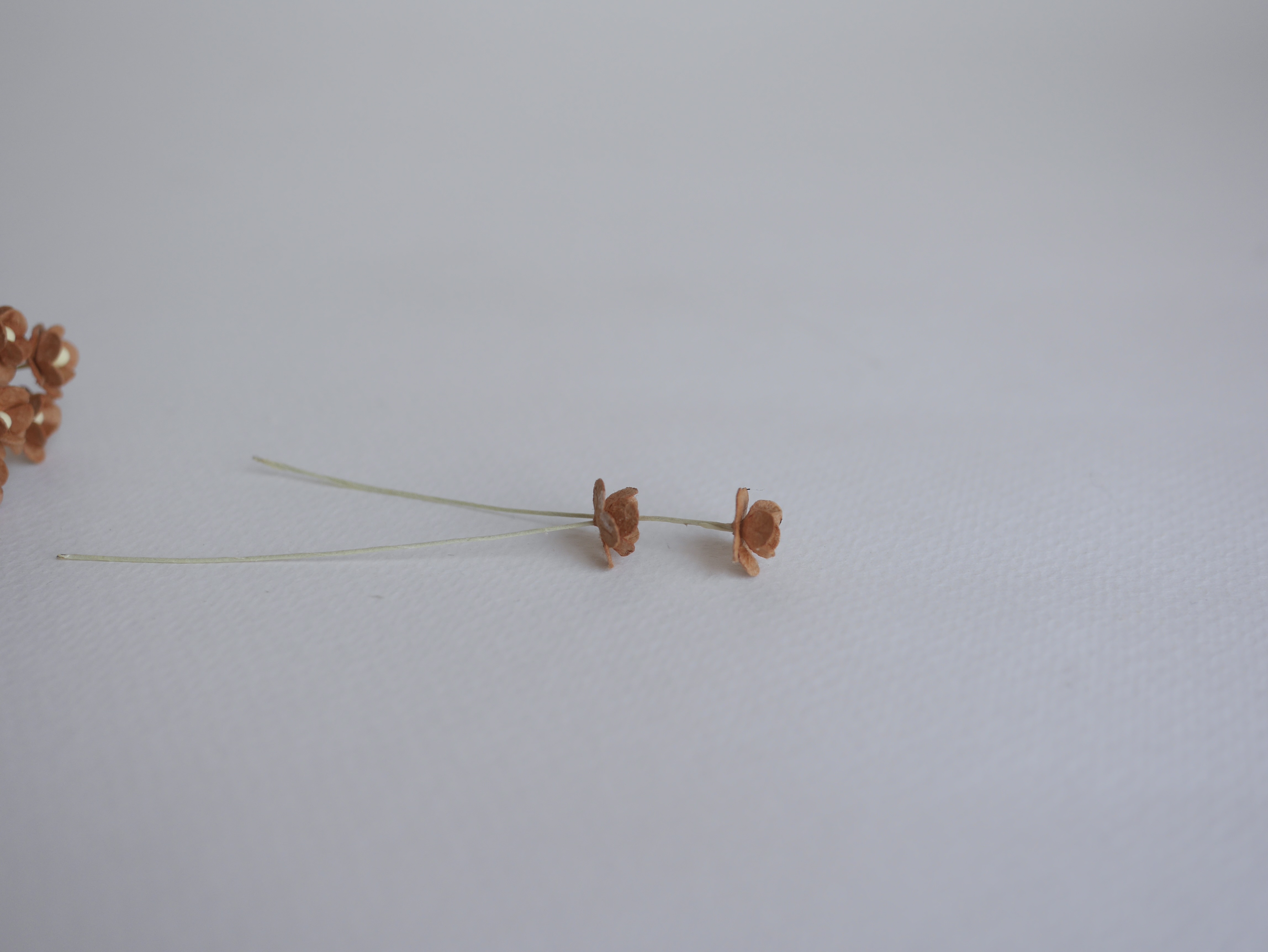 ดอกไม้กระดาษสา ดอกไม้กระดาษสาราคาส่ง ดอกไม้กระดาษสำหรับตกแต่ง งานแต่งงาน หรือติดของชำร่วย ดอก creeping lady 100 ดอก ขนาด 0.8 cm. สีน้ำตาลเข้ม Small Paper Flower with stem, 100 pcs., size 0.8 cm., creeping flowers 2 layers, medium brown color.