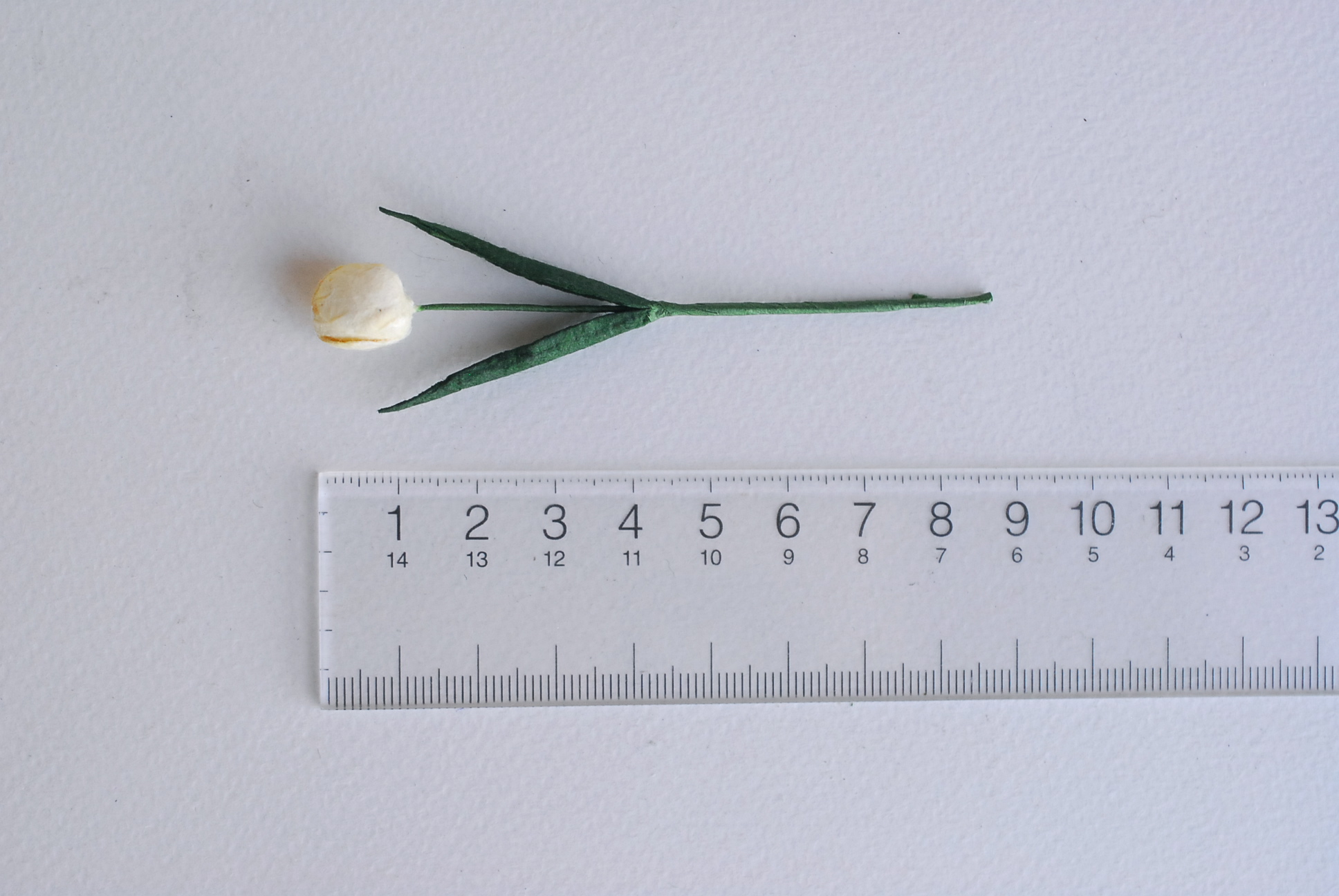 ดอกไม้ประดิษฐ์, ดอกไม้กระดาษสา, ดอกtulips, ดอกทิวลิปส์, ก้านสีเขียว เกสรสีขาว งานประดิษฐ์ตกแต่งของชำร่วย,ทำการ์ดรับเชิญ,ช่อดอกไม้ขนาดเล็ก, ขนาด 1.5 cm. สีขาวครีม