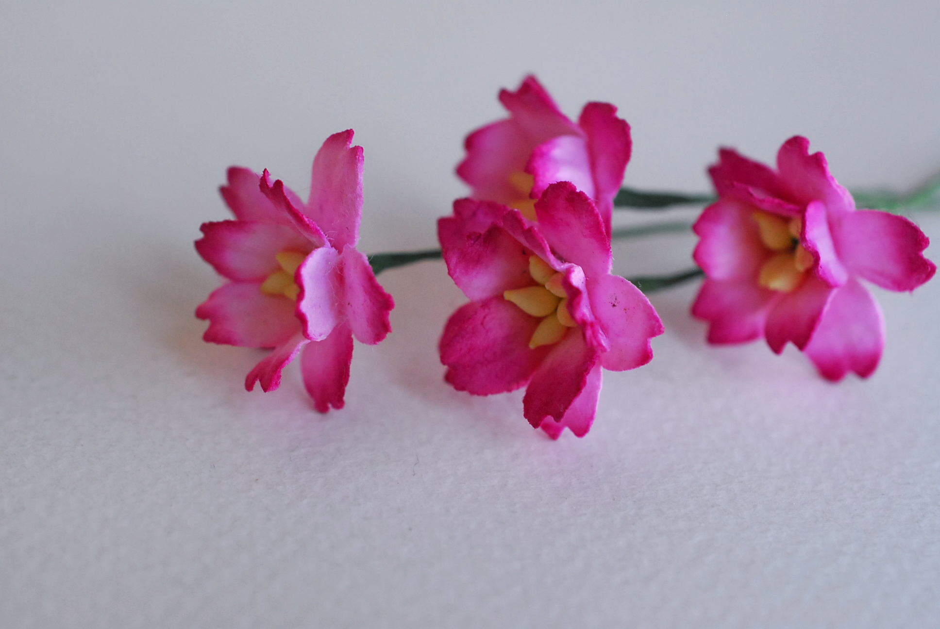 ดอกไม้กระดาษสา ดอกซากุระกระดาษ ขนาดเล็ก ดอกไม้กระดาษสาราคาส่ง ดอกไม้กระดาษสำหรับตกแต่งของชำร่วย งานแต่งงาน ทำช่อดอกไม้ติดอกเจ้าบ่าว ข้อมือดอกไม้เจ้าสาว ขนาด2.0 cm. 50 ดอก สีชมพูบานเย็นปัด Paper flowers supplies: DIY wedding tools small Cherry blossom