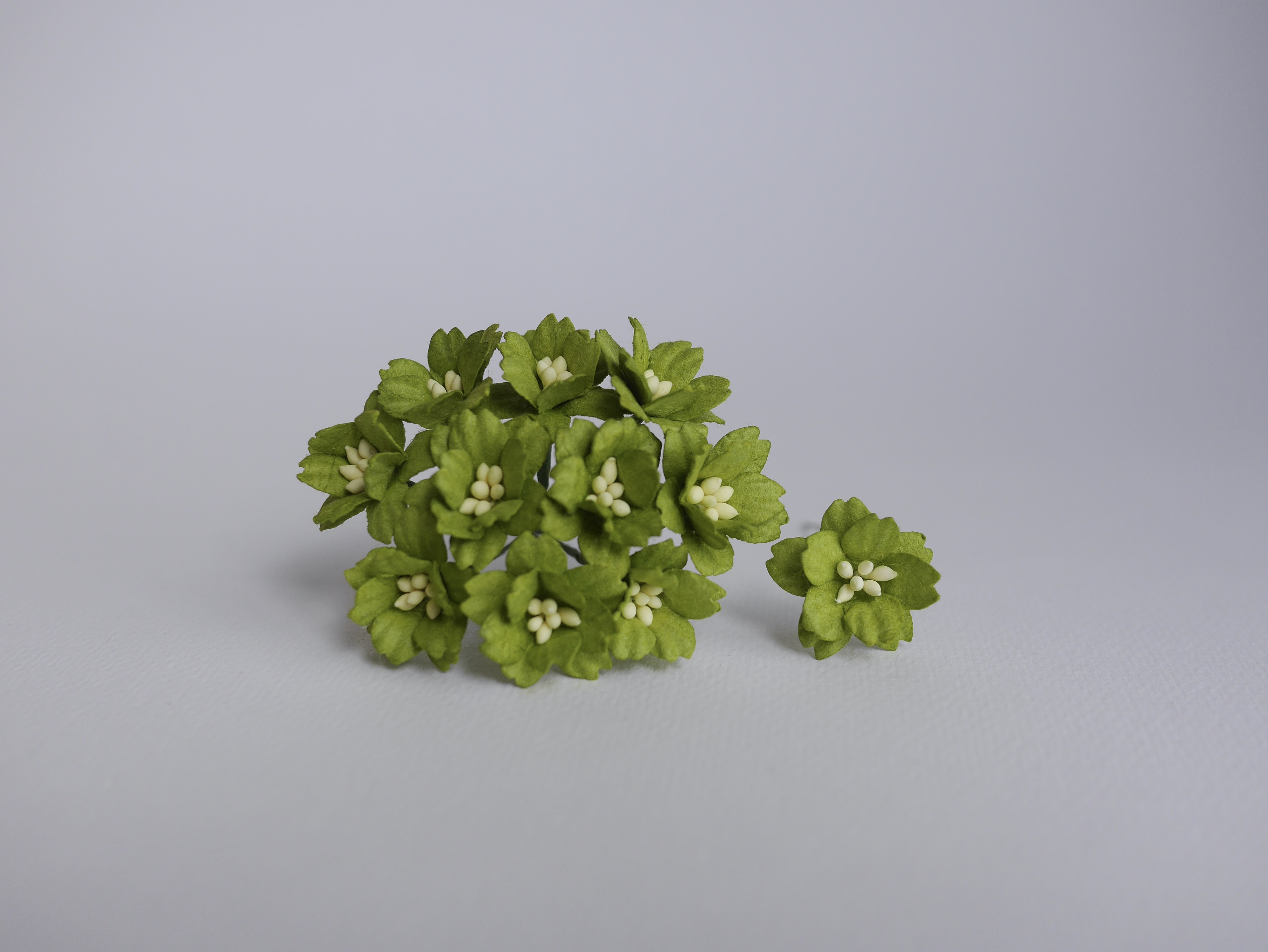 ดอกไม้กระดาษสา ดอกซากุระกระดาษ ดอกไม้กระดาษสาราคาส่ง ดอกไม้กระดาษสำหรับตกแต่งของชำร่วย งานแต่งงาน ทำช่อดอกไม้ติดอกเจ้าบ่าว ข้อมือดอกไม้เจ้าสาว ขนาด 2.00 cm. 50 ดอก สีเขียว Paper flowers supplies: DIY wedding tools Cherry blossom (Sakura) 50 pcs. size 2.0