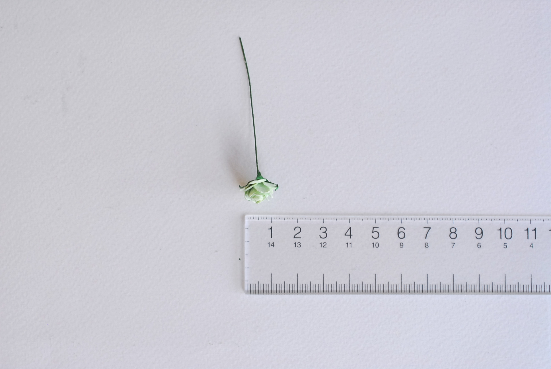 ซื้อ1 ห่อ แถม 1 ห่อ ดอกไม้กุหลาบกระดาษ ดอกไม้กระดาษสา, ดอกกุหลาบจิ๋ว, ดอกไม้กระดาษสาขายส่ง สีเขียวพาสเทล แถมสีเขียวจุดขาว ขนาด 1.5 cm. จำนวน 100 ดอก Paper Flowers size 1.5 cm., mini roses green mint color, 100 pcs. and get free 1 pack of green mint-white