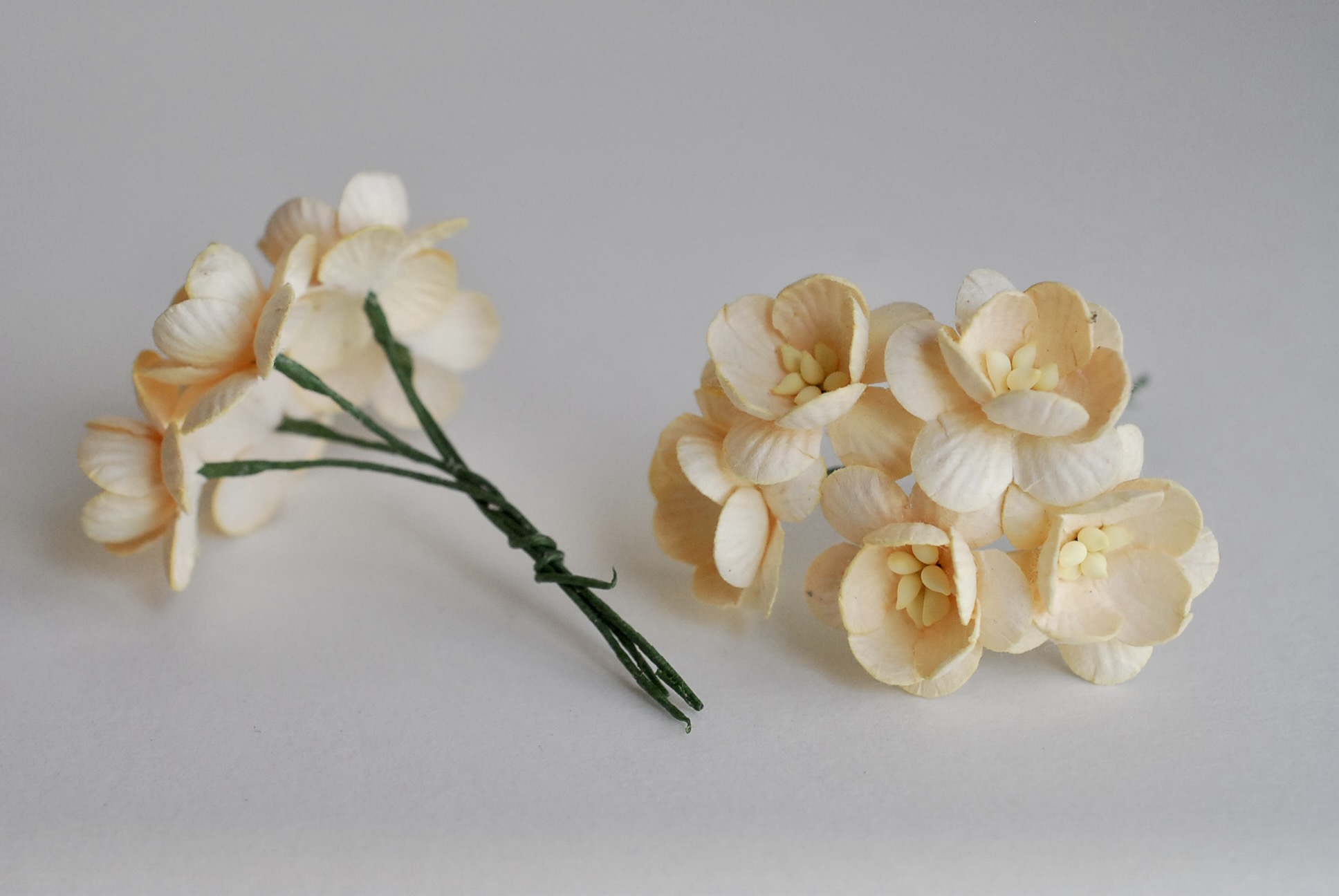 ดอกไม้กระดาษสา ดอกไม้กระดาษสาราคาส่ง ดอกไม้กระดาษสำหรับตกแต่งของชำร่วย งานแต่งงาน ทำช่อดอกไม้ติดอกเจ้าบ่าว ข้อมือดอกไม้เจ้าสาว ขนาด2.5 cm. 50 ดอก สีเบจ Paper flowers supplies: DIY wedding tools Cherry blossom (Sakura) 50 pcs. size 2.5 cm. beige color.