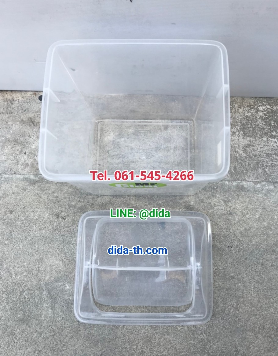 ถังขยะใส ฝาแกว่ง ทรงเหลี่ยม 14 ลิตร สีใส