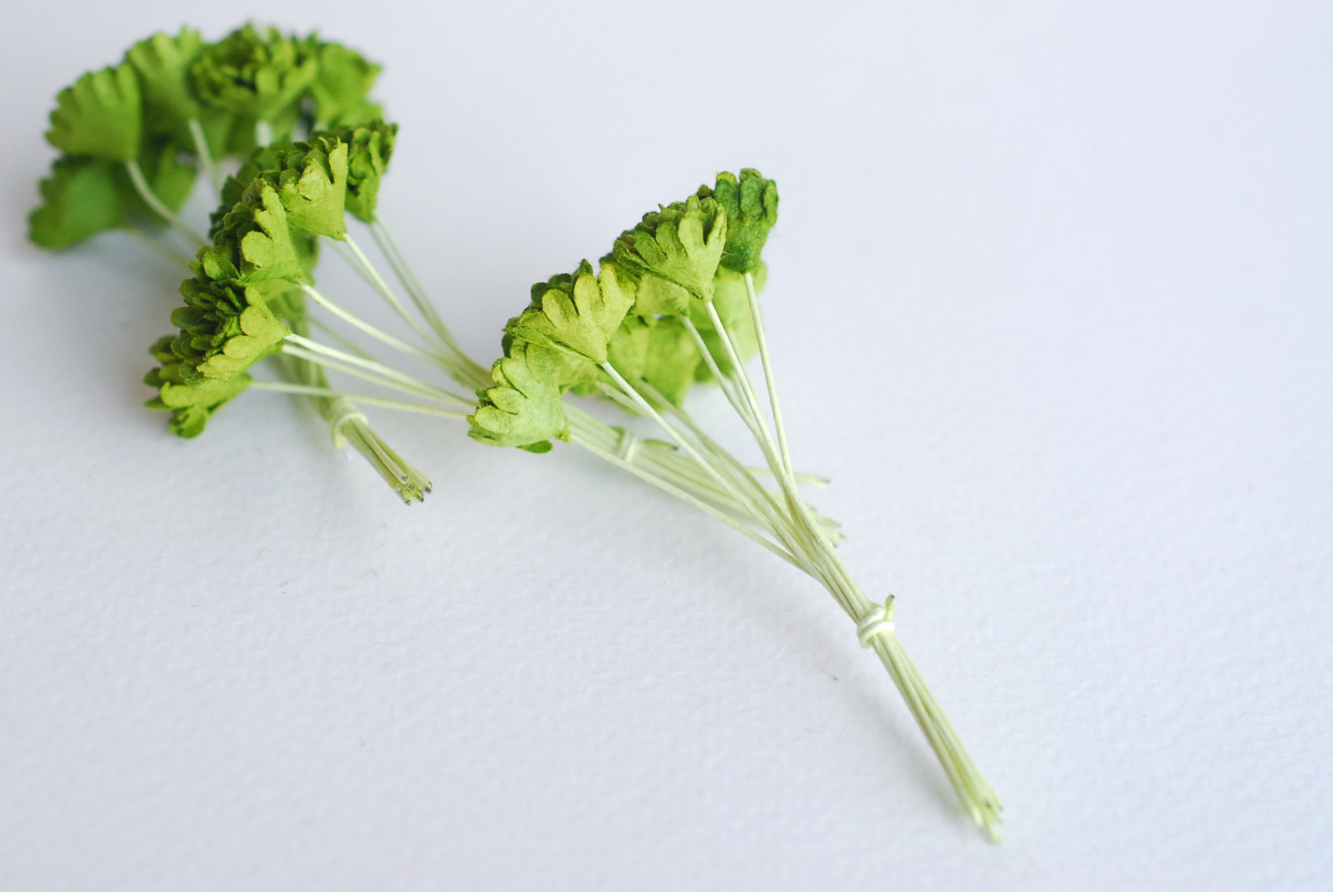 ดอกไม้เขียวทำพานพุ่ม ดอกกะเบง ดอกไม้ประดิษฐ์, ดอกไม้กระดาษสา, ดอก gypsophila, ดอกยิปโซ งานประดิษฐ์ตกแต่งของชำร่วย, ,พานพวงมาลัย, พานรับไหว้, ขนาด 1 cm. สีเขียว 20 ถุง