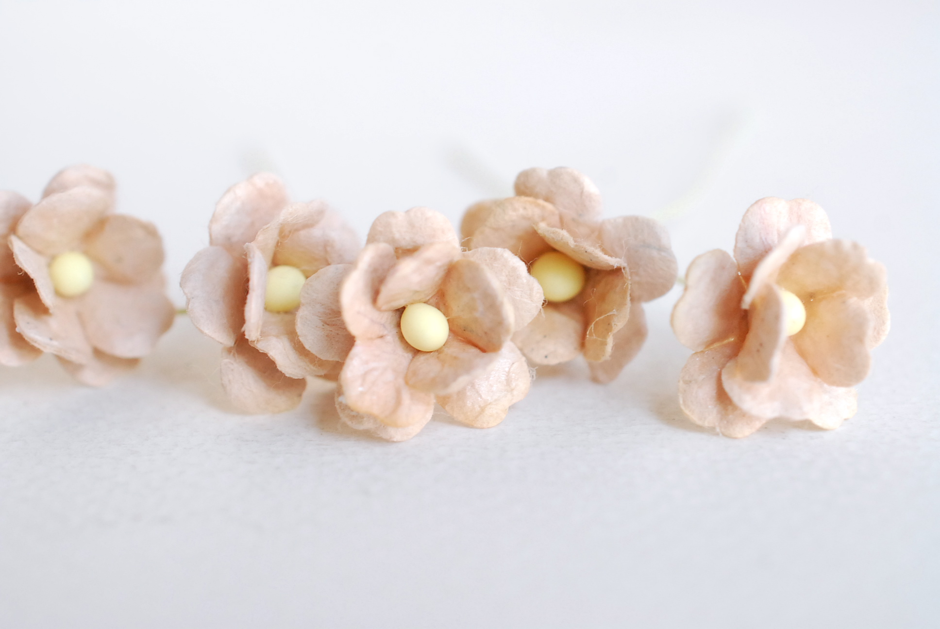 ดอกไม้กระดาษสา ราคาส่ง, ดอกไฮเดรนเยียกระดาษสา ดอกไม้ประดิษฐ์ ตกแต่งงานแต่งงาน ประดิษฐ์ข้อมือเพื่อนเจ้าสาว ขนา่ด 1.5 cm., สำหรับของชำร่วย, งานแต่งงาน, ดอกไม้ทำข้อมือเจ้าสาว สีน้ำตาลอ่อน จำนวน 100 ดอก Paper flower,100 Pieces mulberry hydenyia light brown co