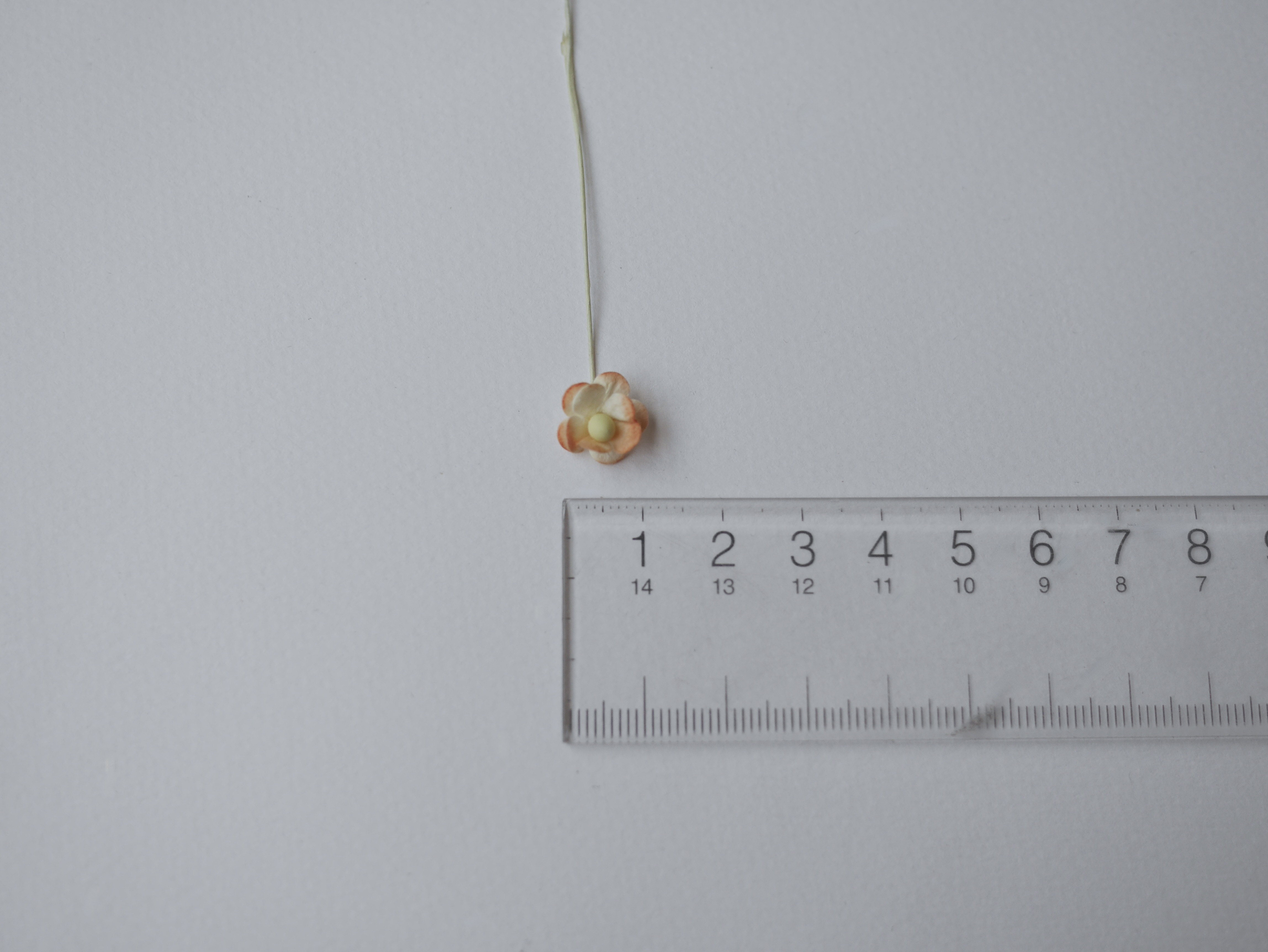 ดอกไม้กระดาษสา ดอกไม้กระดาษสาราคาส่ง ดอกไม้กระดาษสำหรับตกแต่ง งานแต่งงาน หรือติดของชำร่วย ดอก creeping lady 100 ดอก ขนาด 0.8 cm. สีส้มปัดสีขาว Small Paper Flower with stem, 100 pcs., size 0.8 cm., creeping flowers 2 layers, orange brush color.