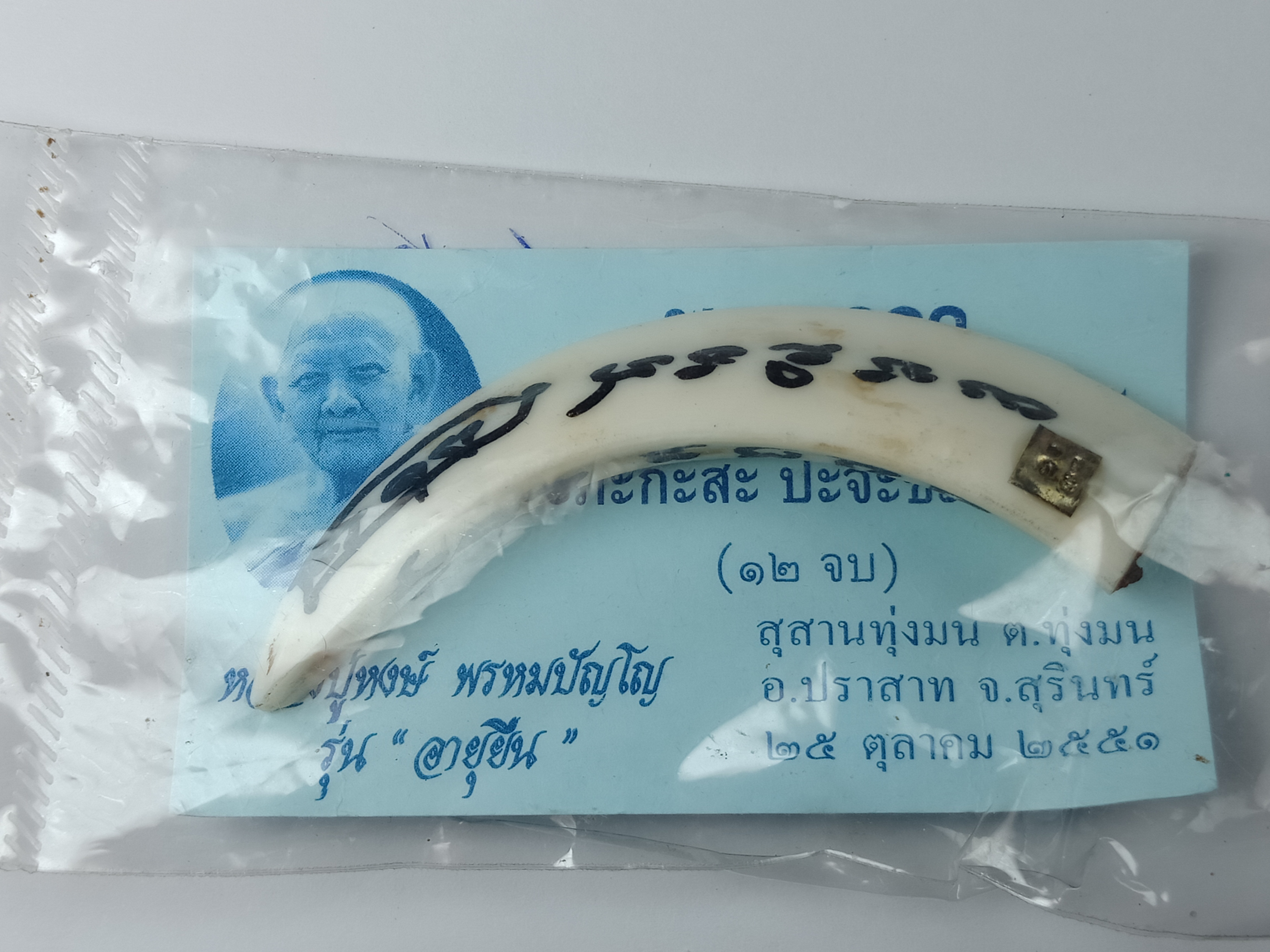 เขี้ยวหมู่ป่า พลิกแผ่นดิน