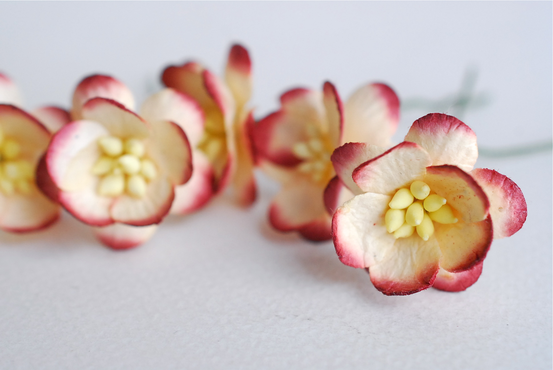 ดอกไม้กระดาษสา ดอกไม้กระดาษสาราคาส่ง ดอกไม้กระดาษสำหรับตกแต่งของชำร่วย งานแต่งงาน ทำช่อดอกไม้ติดอกเจ้าบ่าว ข้อมือดอกไม้เจ้าสาว ขนาด2.5 cm. 50 ดอก Paper flowers supplies: DIY wedding tools Cherry blossom (Sakura) 50 pcs. size 2.5 cm. Ivory brush dark red c