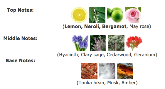 VERSACE Pour Homme EDT แบ่งขาย