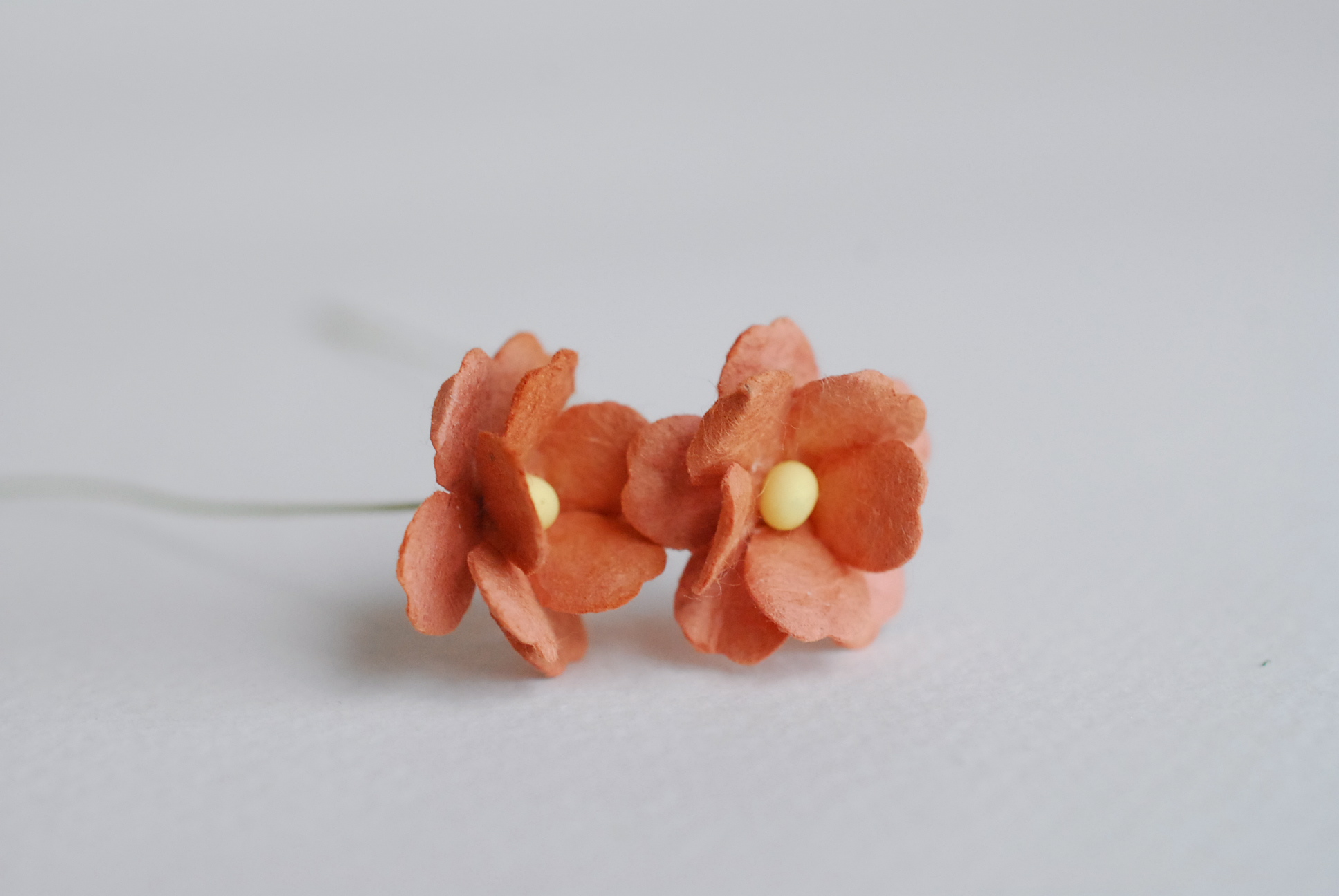 ดอกไม้กระดาษสา ราคาส่ง, ดอกไฮเดรนเยียกระดาษสา ดอกไม้ประดิษฐ์ ตกแต่งงานแต่งงาน ประดิษฐ์ข้อมือเพื่อนเจ้าสาว ขนา่ด 1.5 cm., สำหรับของชำร่วย, งานแต่งงาน, ดอกไม้ทำข้อมือเจ้าสาว สีน้ำตาล จำนวน 100 ดอก Paper flower,100 Pieces mulberry hydenyia brown color