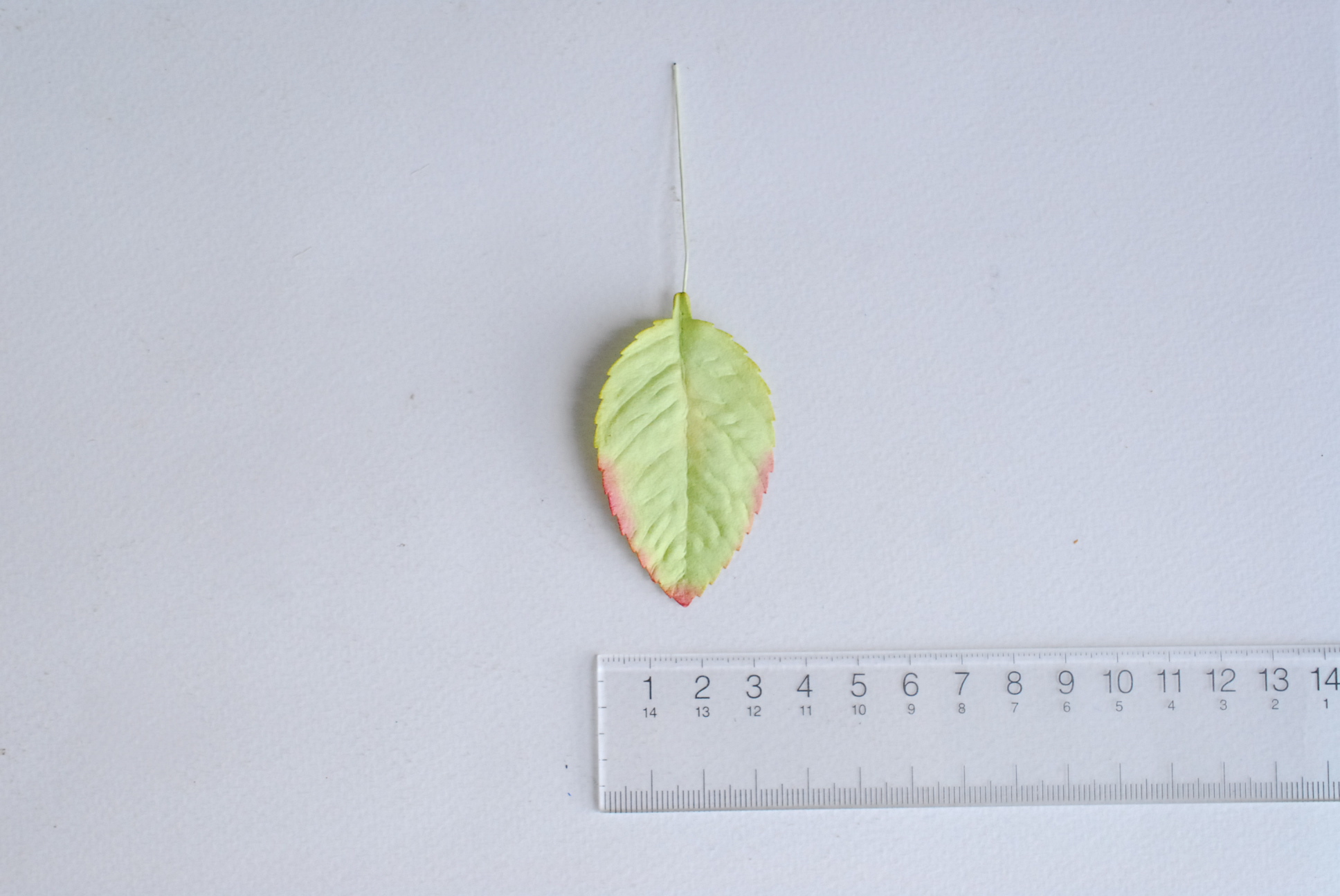 ใบไม้กระดาษ ใบไม้กระดาษสา ราคาส่ง,ใบไม่้กุหลาบกระดาษ สำหรับดอกกุหลาบกระดาษสา ใบไม้ประดิษฐ์ สำหรับตกแต่ง หรืองานแต่งงาน สีเขียวปัดแดง ขนาด6x4.5 cm. จำนวน 50 ใบ