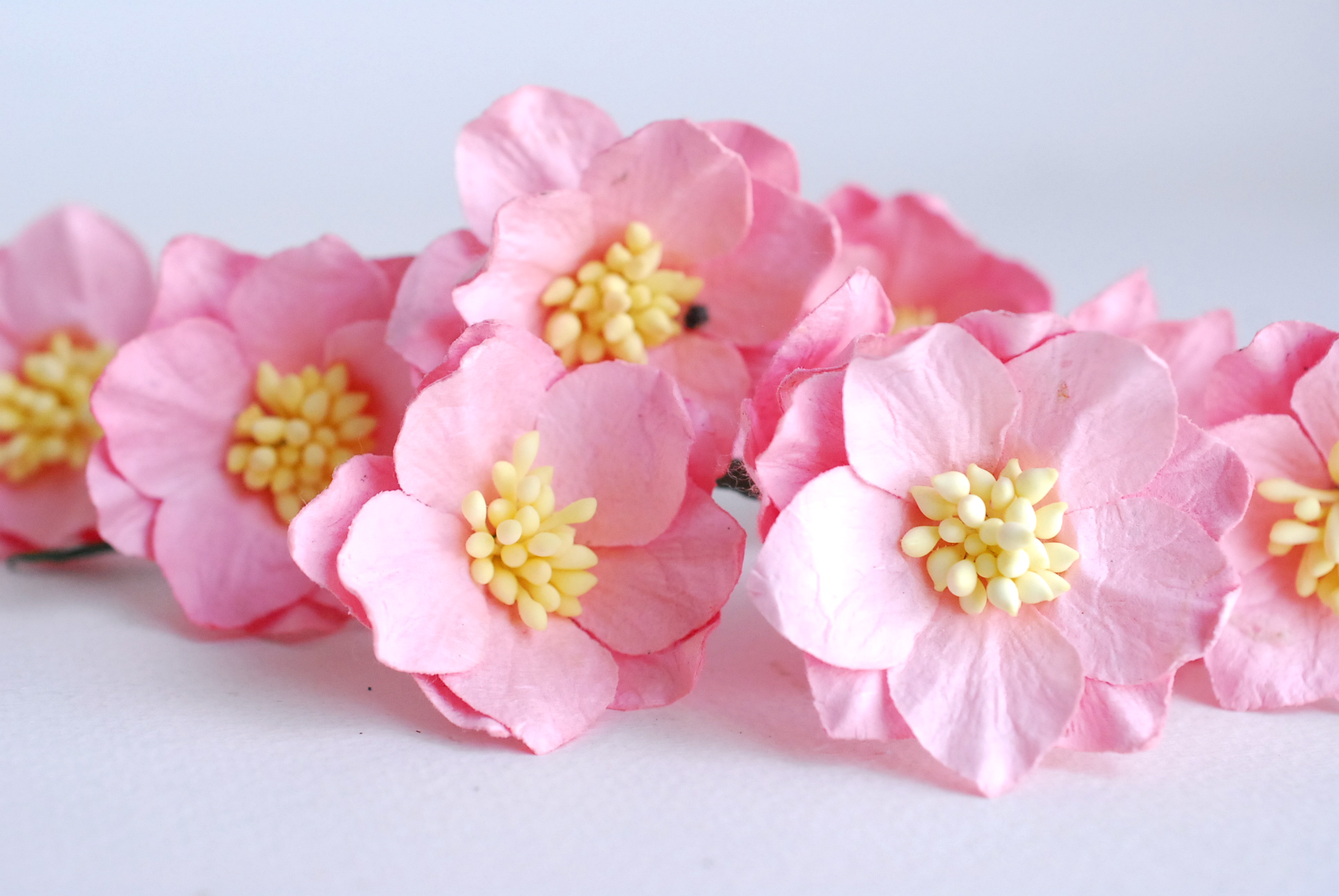 ดอกไม้กระดาษสา ดอกโลตัสอินโดนิเซียกระดาษ ดอกไม้กระดาษสาราคาส่ง ดอกไม้กระดาษสำหรับตกแต่งของชำร่วย งานแต่งงาน ทำช่อดอกไม้ติดอกเจ้าบ่าว ข้อมือดอกไม้เจ้าสาว ขนาด3.5 cm. 25 ดอก สีชมพู Paper flowers supplies: DIY wedding tools Big Cherry blossom (Lotus Indonisi