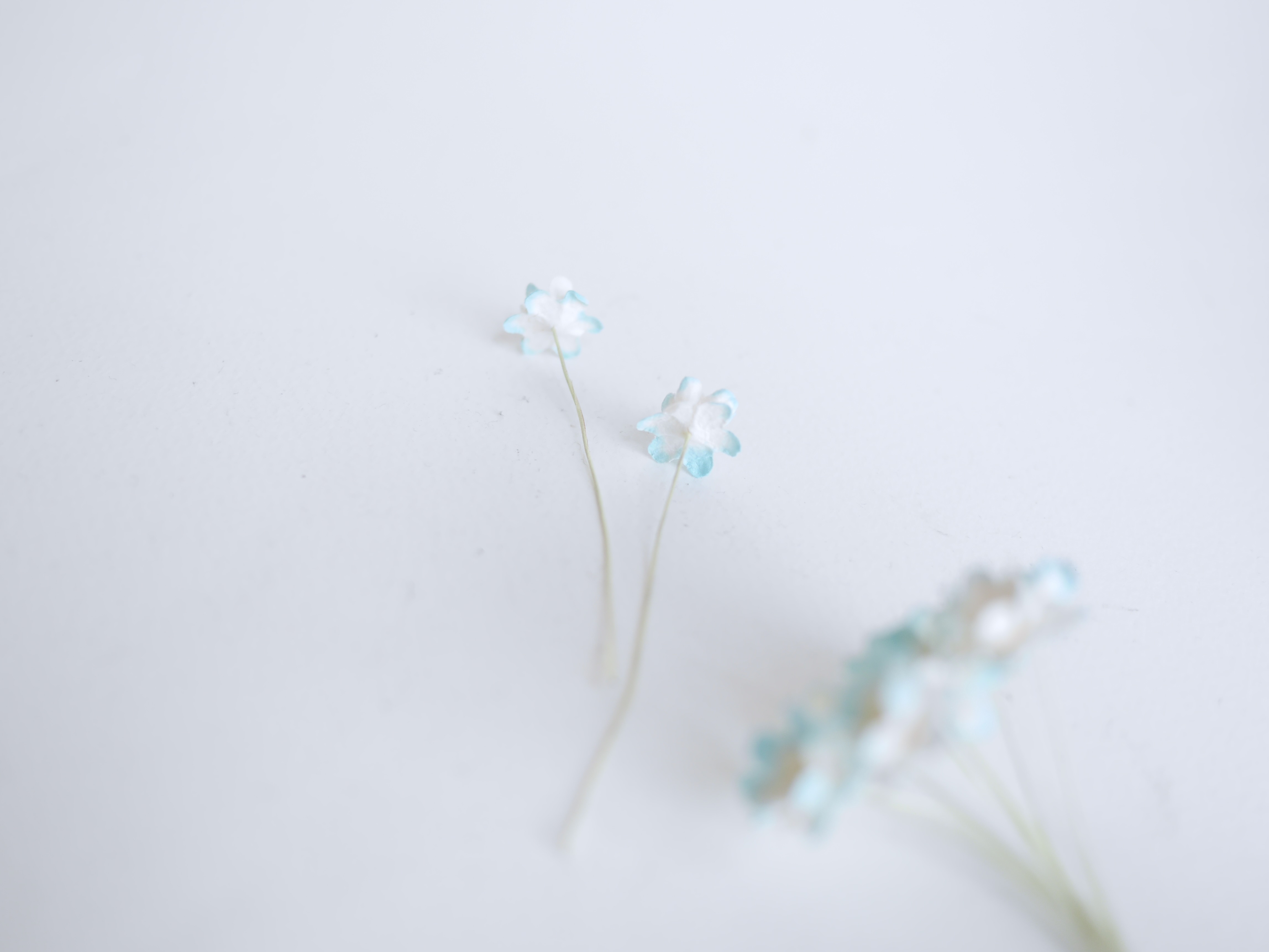 ดอกไม้กระดาษสา ราคาส่ง, ดอกซากุระกระดาษสา ดอกไม้ประดิษฐ์ ตกแต่งงานแต่งงาน ประดิษฐ์ข้อมือ เพื่อนเจ้าสาว ขนาด 1.5 cm., สำหรับของชำร่วย, งานแต่งงาน, ดอกไม้ทำข้อมือเจ้าสาว สีฟ้าอ่อนปัดขาว จำนวน 100 ดอก Paper flower,100 Pieces mulberry hydenyia, blue-sky color