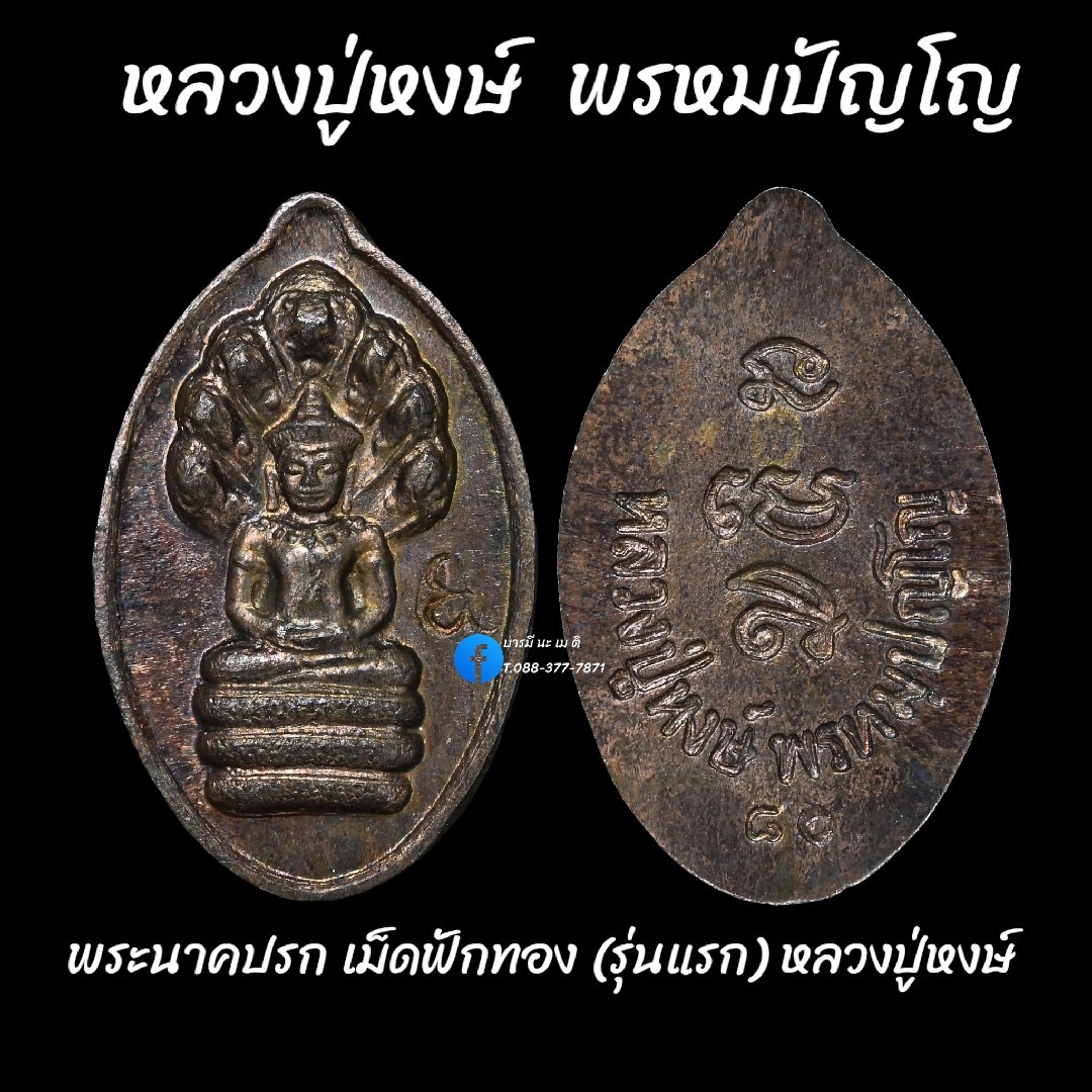 พระนาคปรก เม็ดฟักทอง(รุ่นแรก) หลวงปู่หงษ์ พรหมปัญโญ