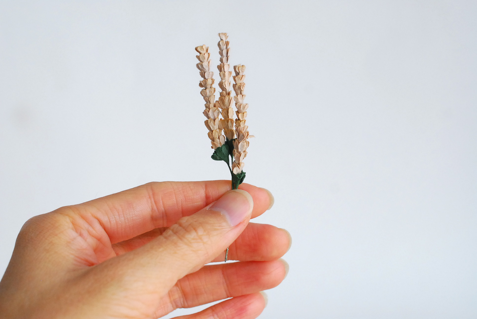 ดอกไม้ประดิษฐ์, ดอกไม้กระดาษสา, ดอกลาเวนเดอร์กระดาษ lavender, ดอกลาเวนเดอร์ กระดาษสา งานประดิษฐ์ตกแต่งของชำร่วย, ดอกไม้ทำพานพุ่ม, พานรับไหว้, ขนาด 0.5x5 cm. สีน้ำตาลอ่อน