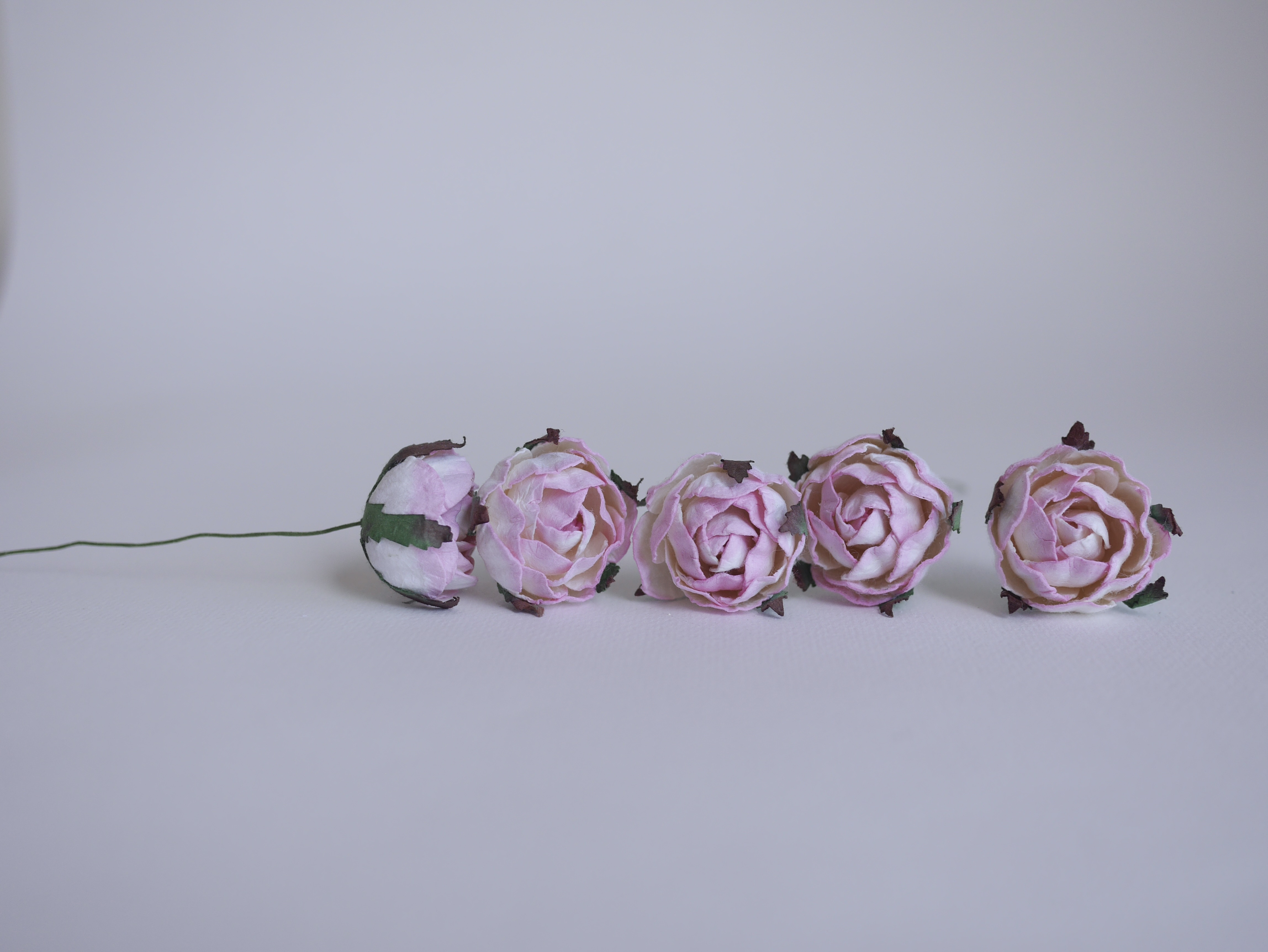 ดอกกุหลาบกระดาษสา peony ดอกไม้กระดาษสาราคาส่ง, ดอกไม้กระดาษ,ดอกไม้ประดิษฐ์ สำหรับตกแต่งของชำร่วย งานแต่งงาน ดอกกุหลาบกลม peony ขนาด 3.5 cm. จำนวน 25 ดอก, สีชมพูปัดสีขาว Paper Flowers, Peony flowers supplies size 3.5cm./ 25 pieces, handmade flowers. pink b